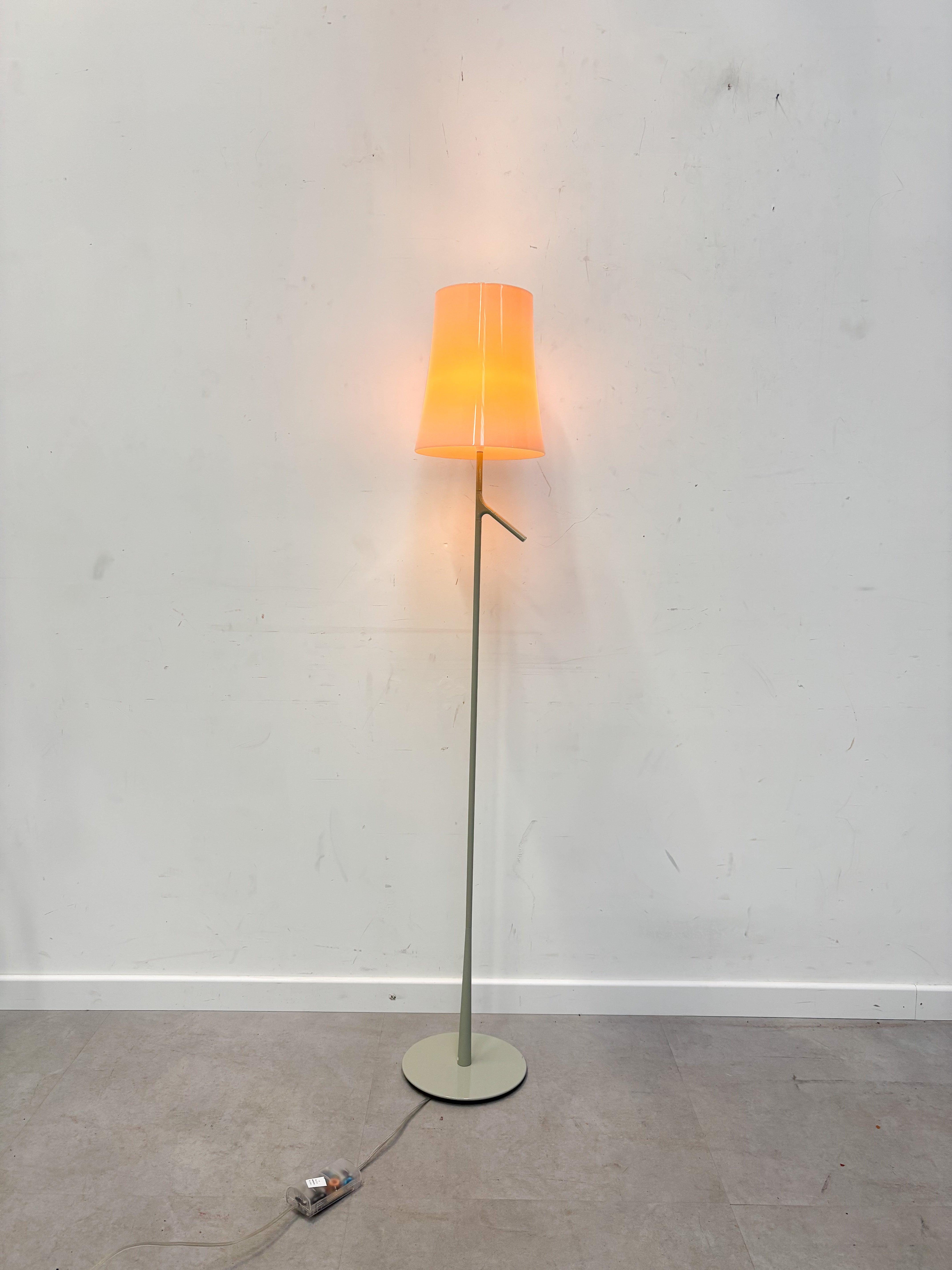 Foscarini - Birdie Lettura Floorlamp