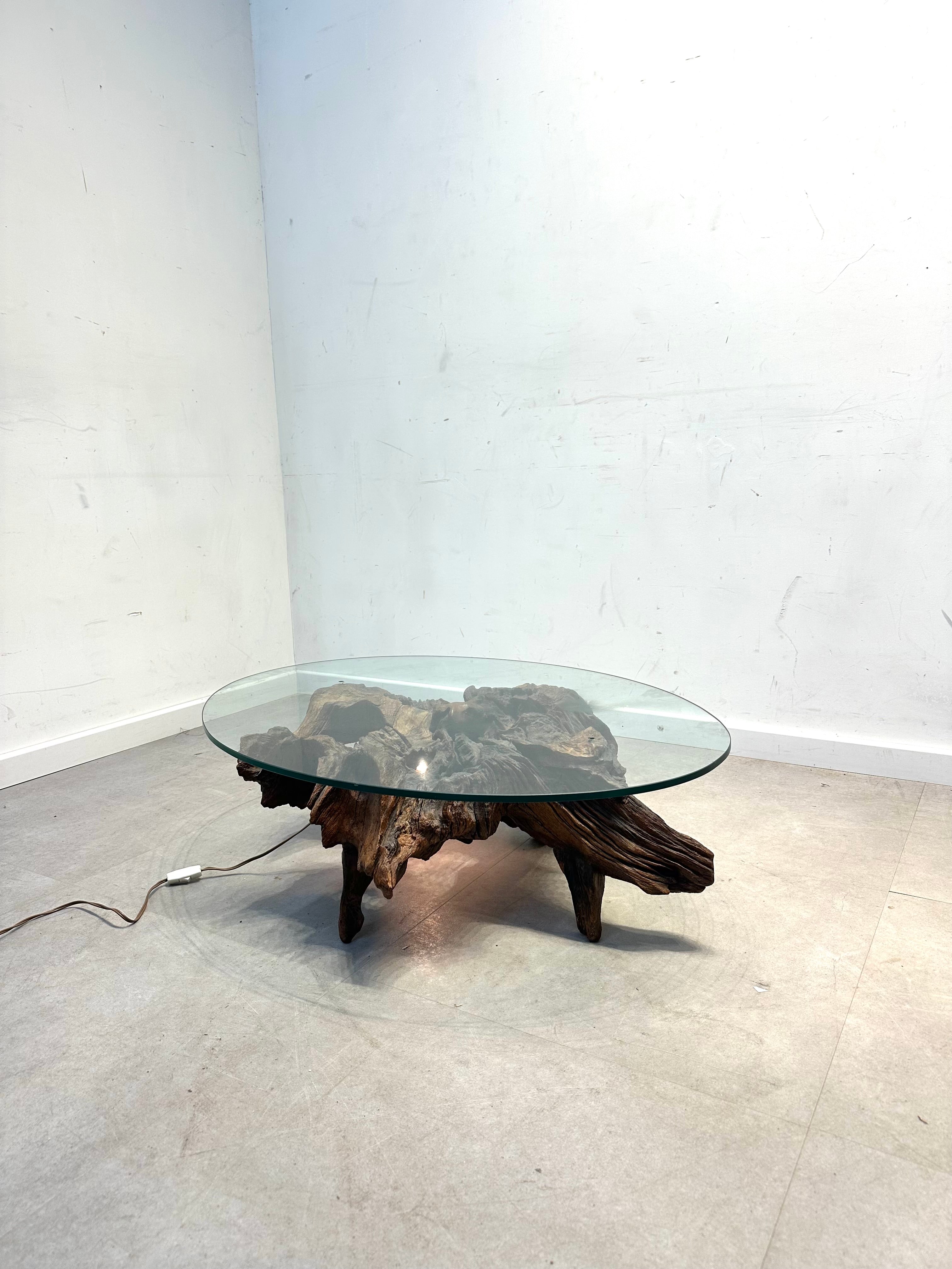 Root Coffee Table with Oval Glass Top