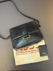 Delvaux Poirier Crossbody Bag – Ostrich Leather – Black – 26 x 20 cm