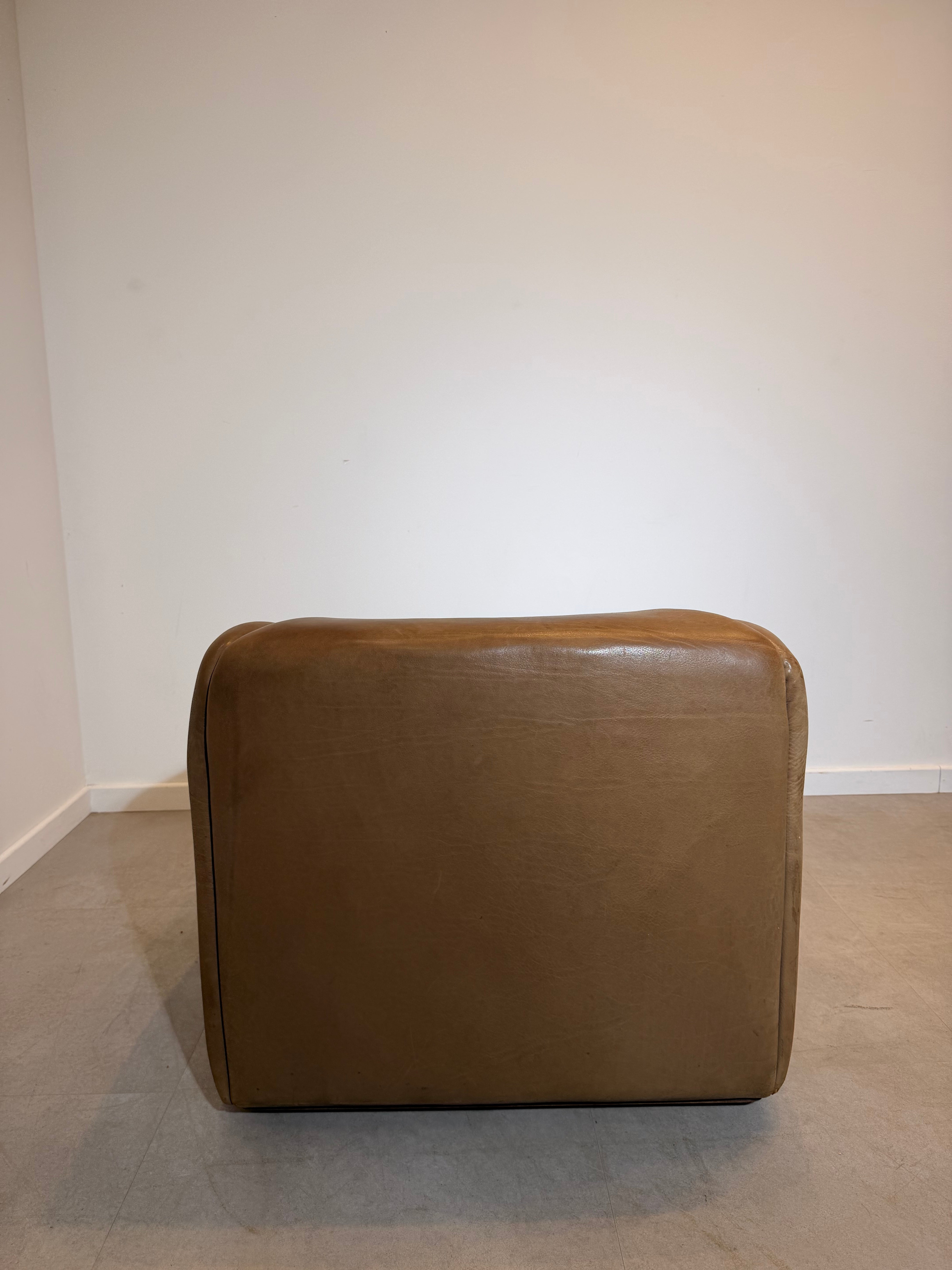 De Sede DS-47 Vintage Neck Leather Lounge Chair with Ottoman