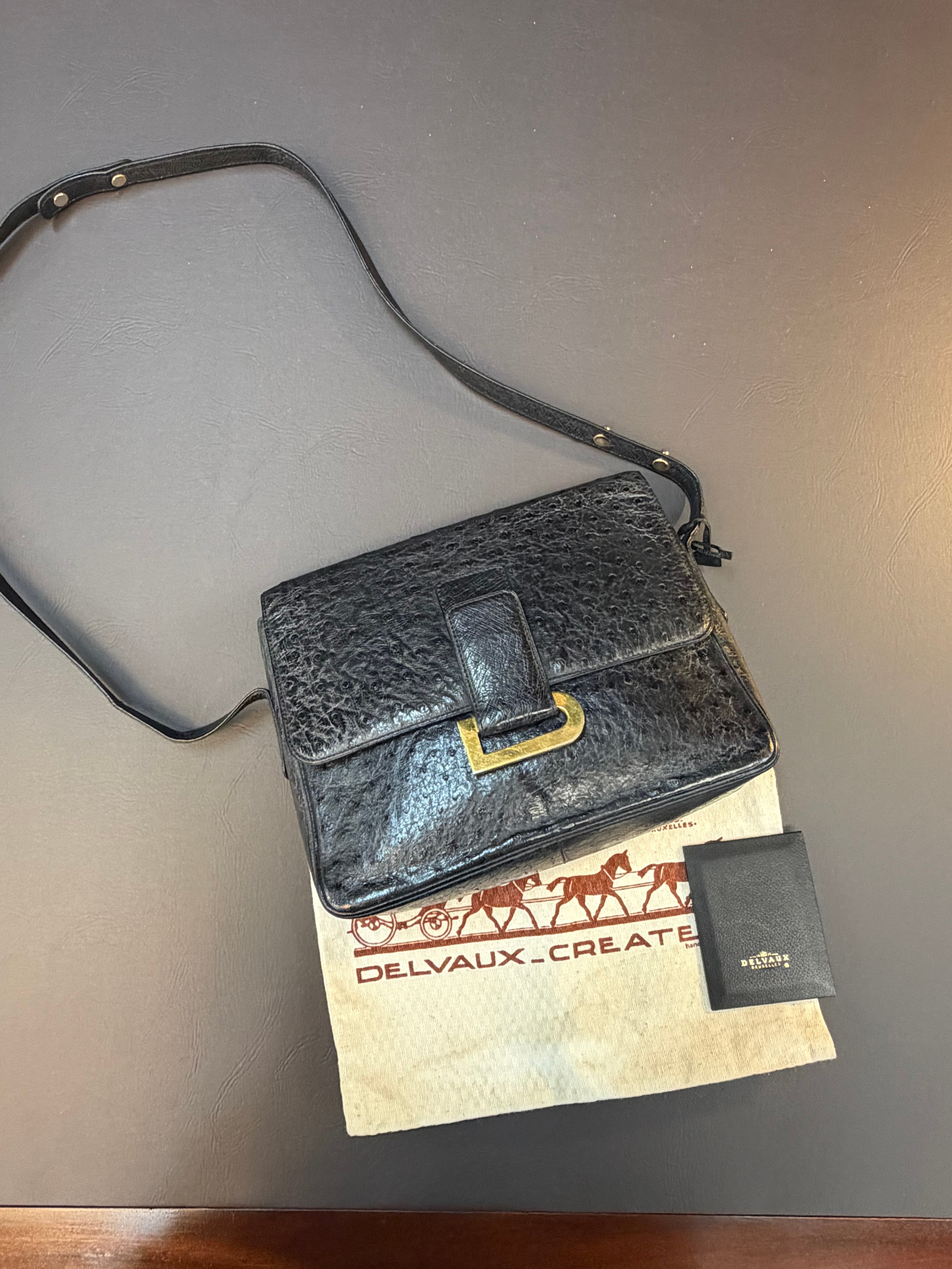Delvaux Poirier Crossbody Bag – Ostrich Leather – Black – 26 x 20 cm