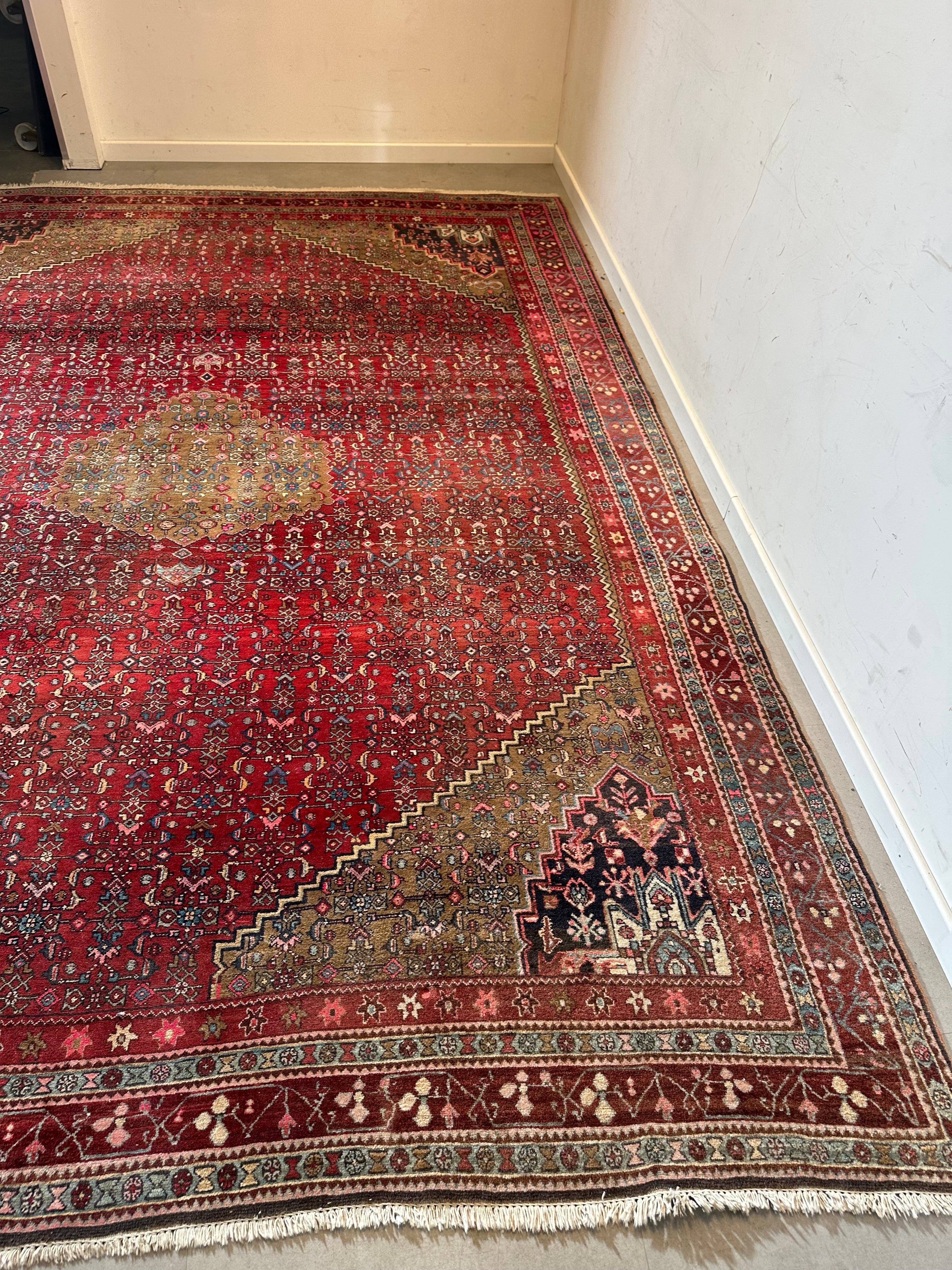 Large Hand-Knotted Oriental Rug - With Certificate