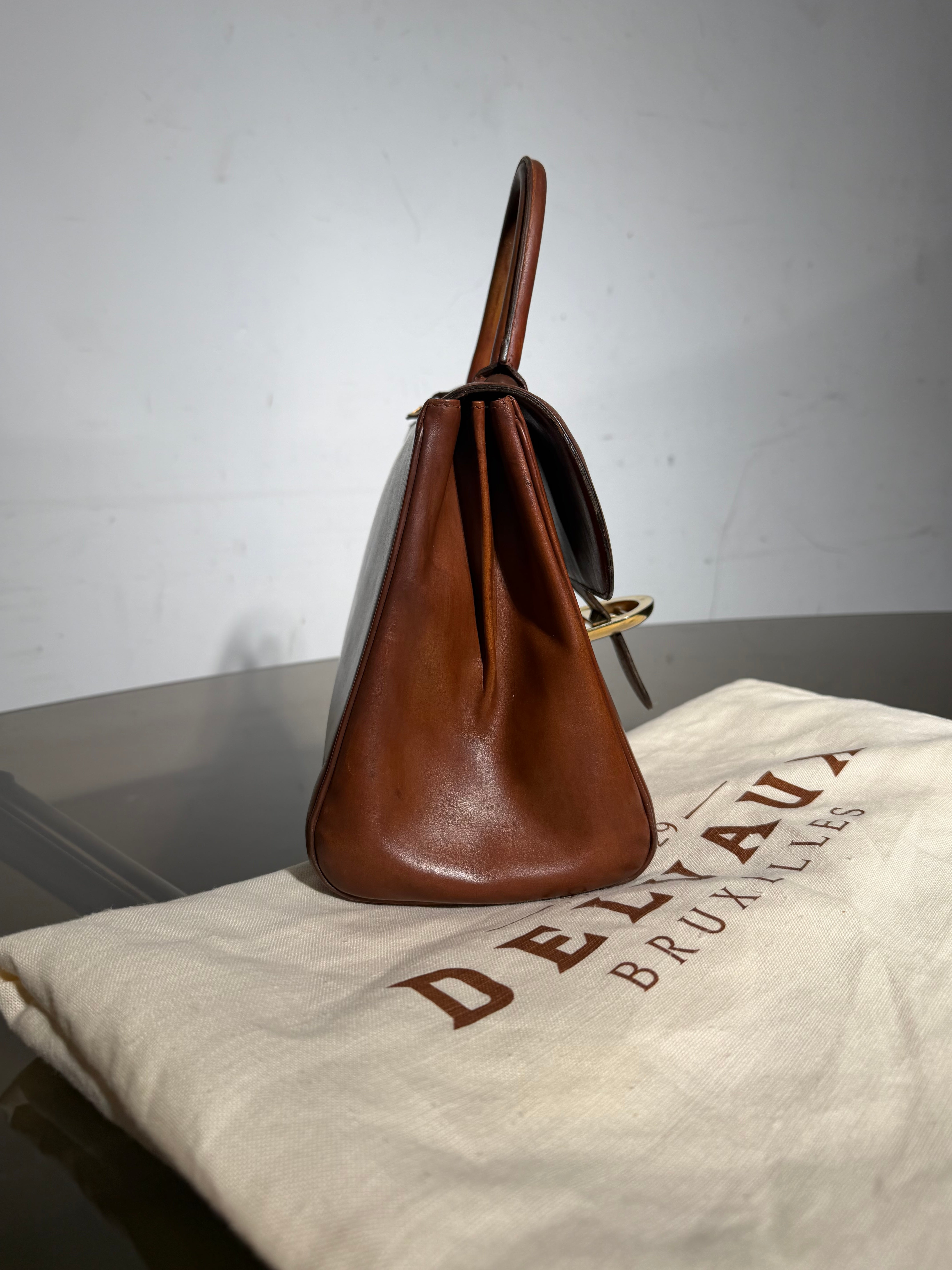 Delvaux Brillant MM Handbag Cognac Brown Leather With Mirror & Dustbag