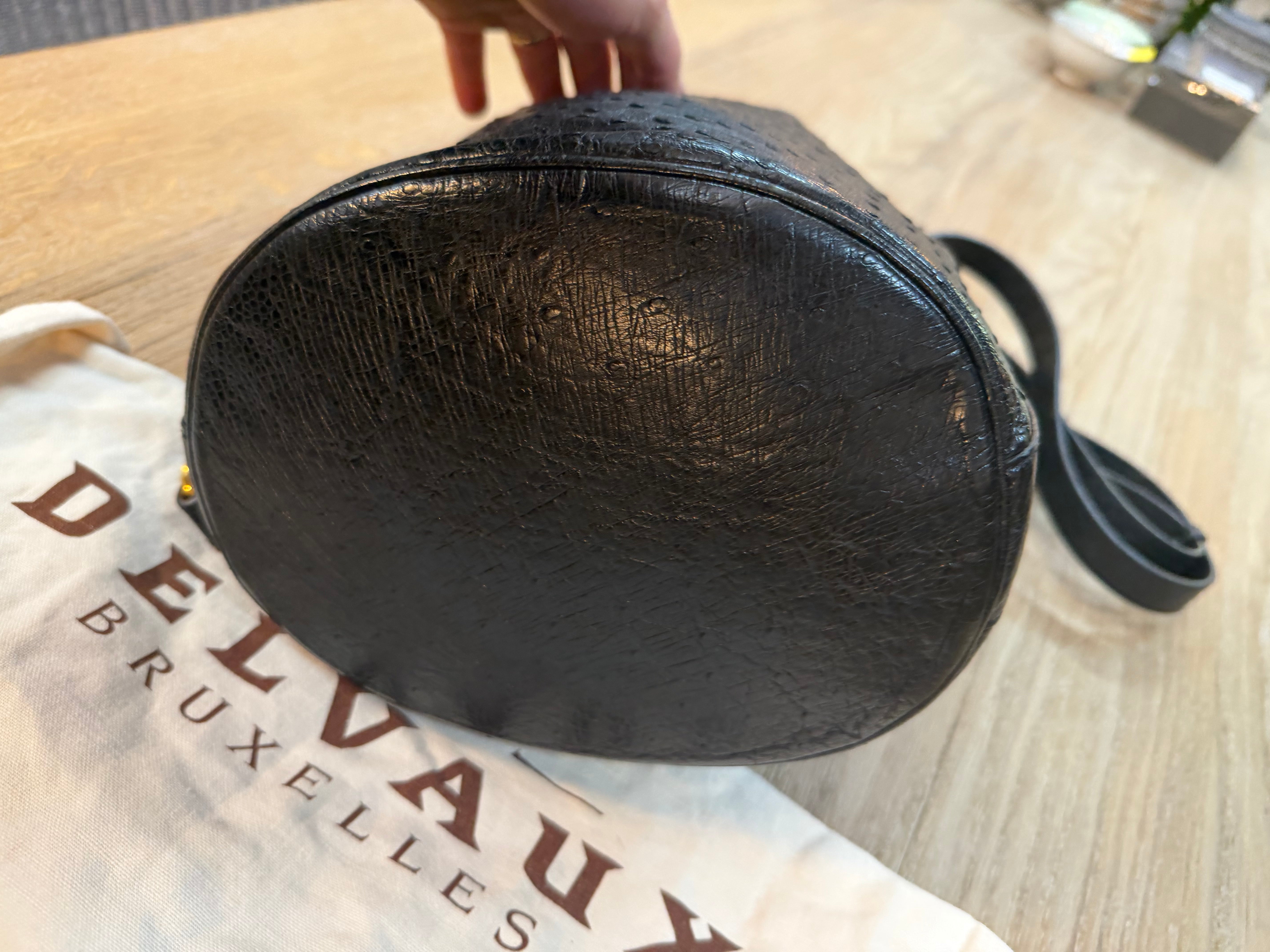 Delvaux “Gibus” Bag – Ostrich Leather – 26 x 23 cm (Dustbag Included)