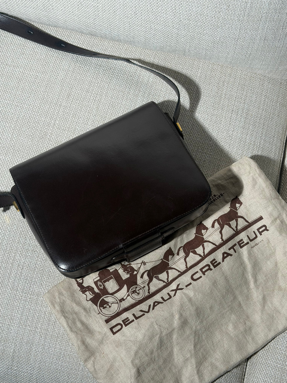 Delvaux Heureux Crossbody Bag – Dark Brown Leather