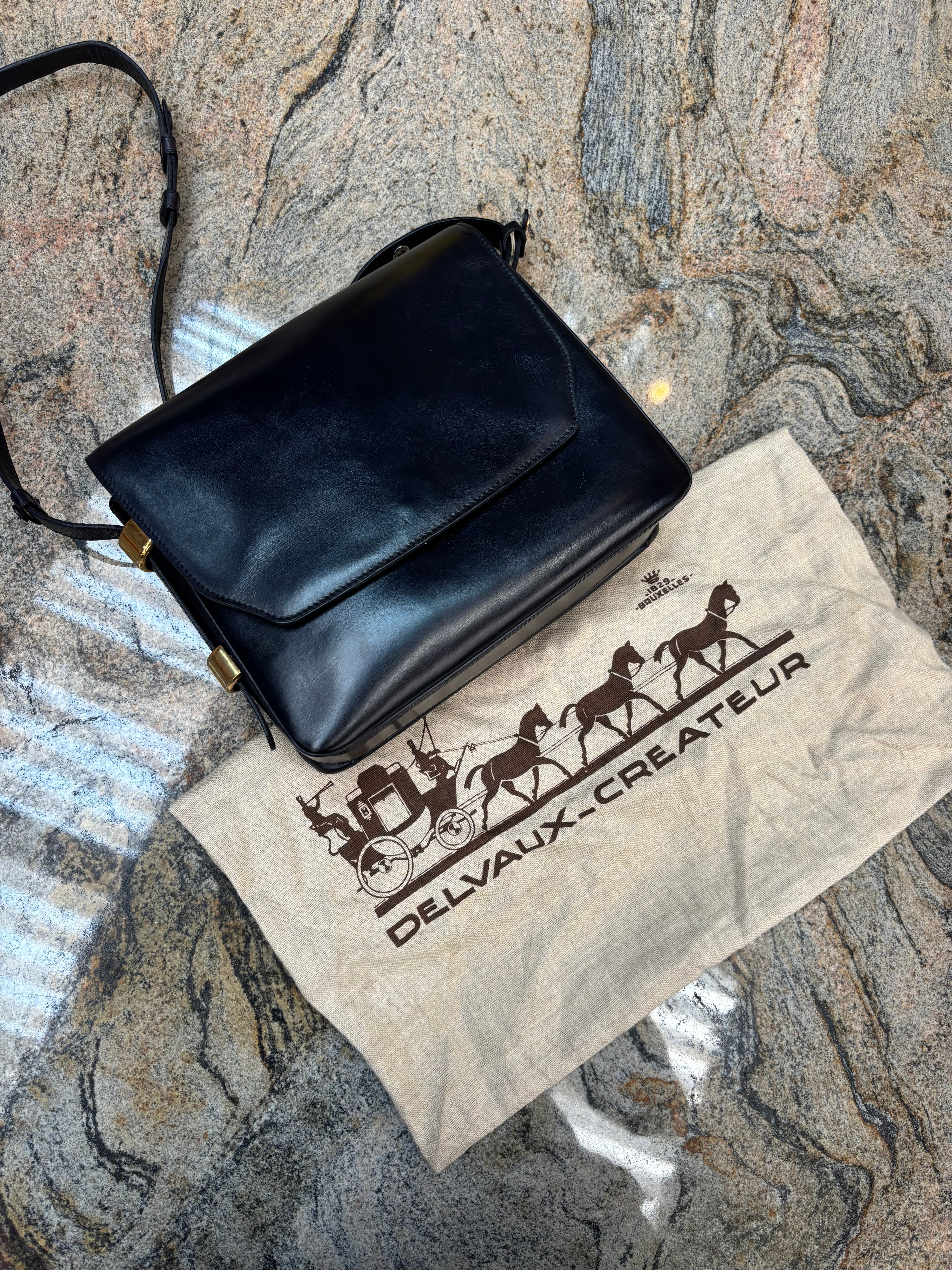 Sac bandoulière Delvaux