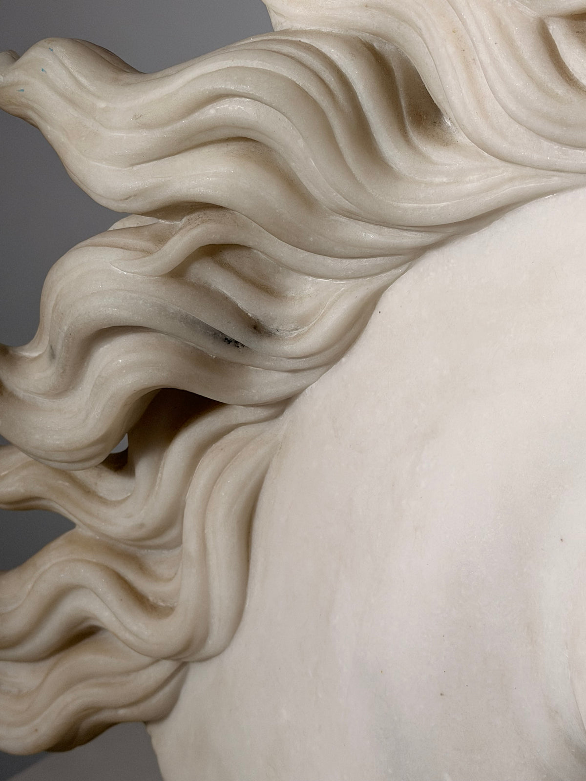 Sculpture “Sculpture by Leonardo” – White Horse Head on Green Marble Base