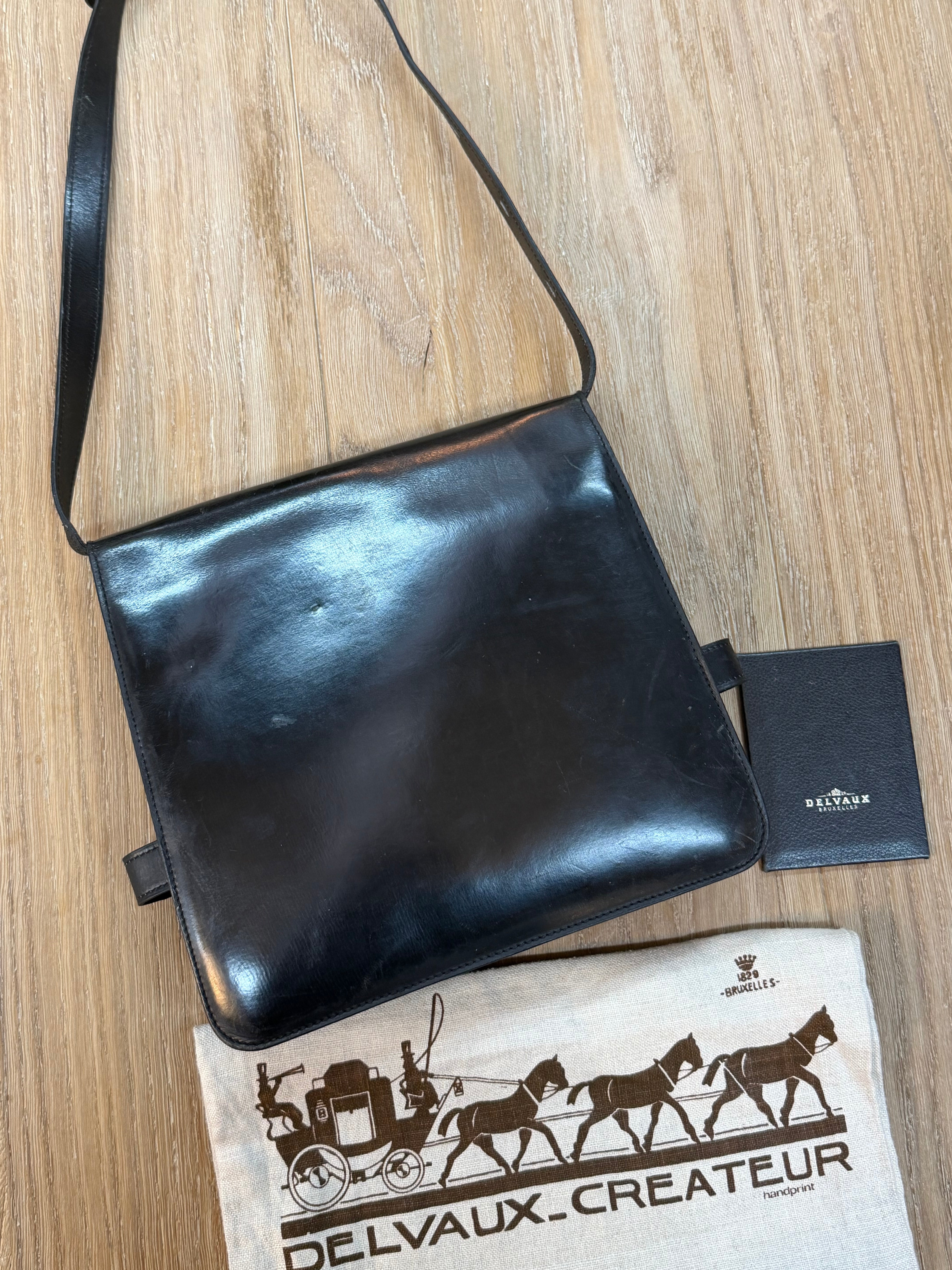 Delvaux “Xylophone” Bag – Black Leather – 24 x 22 cm (Dustbag + Mirror)