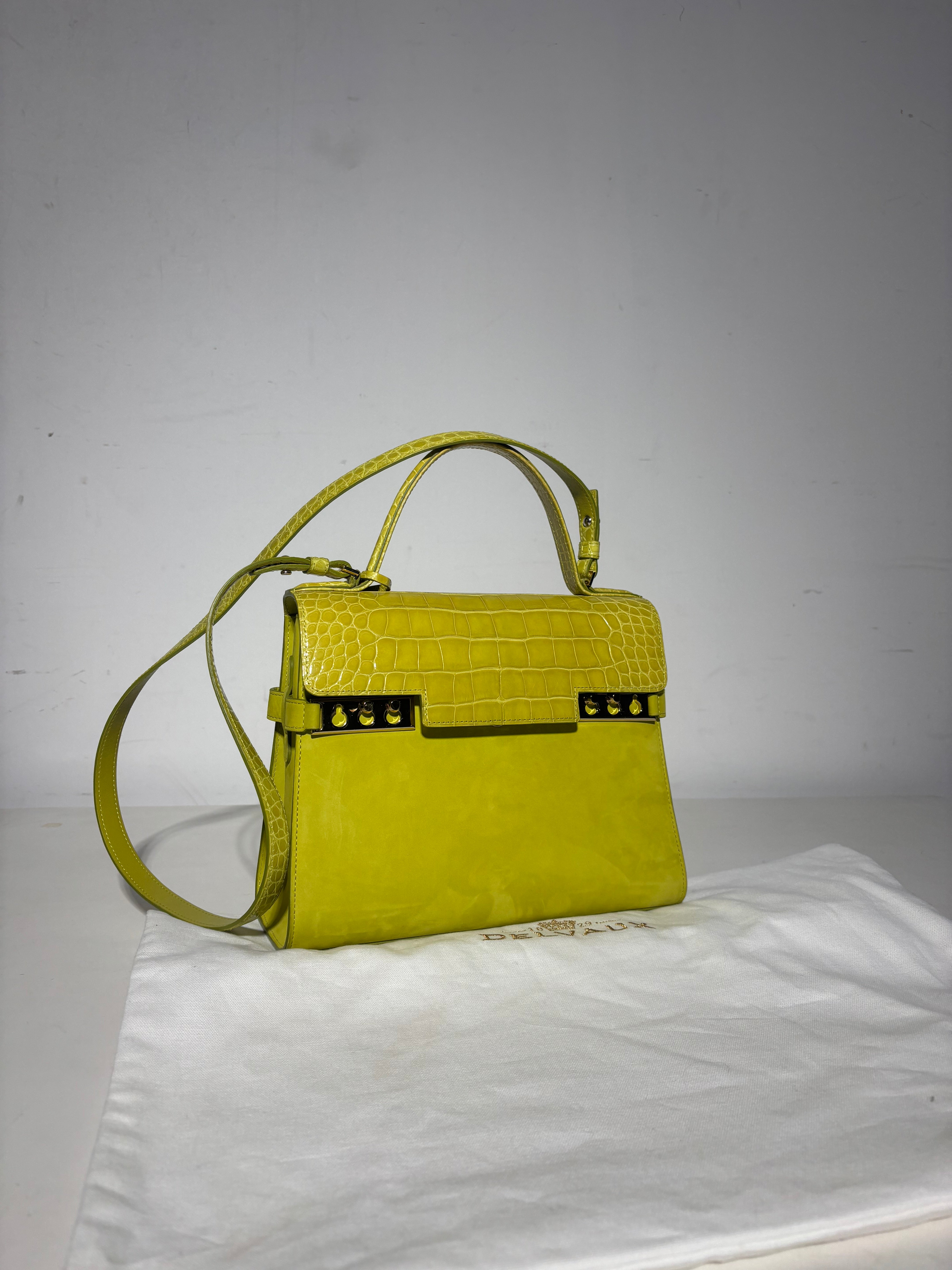 Delvaux Tempête Edition Limitée Croco &amp; Daim MM