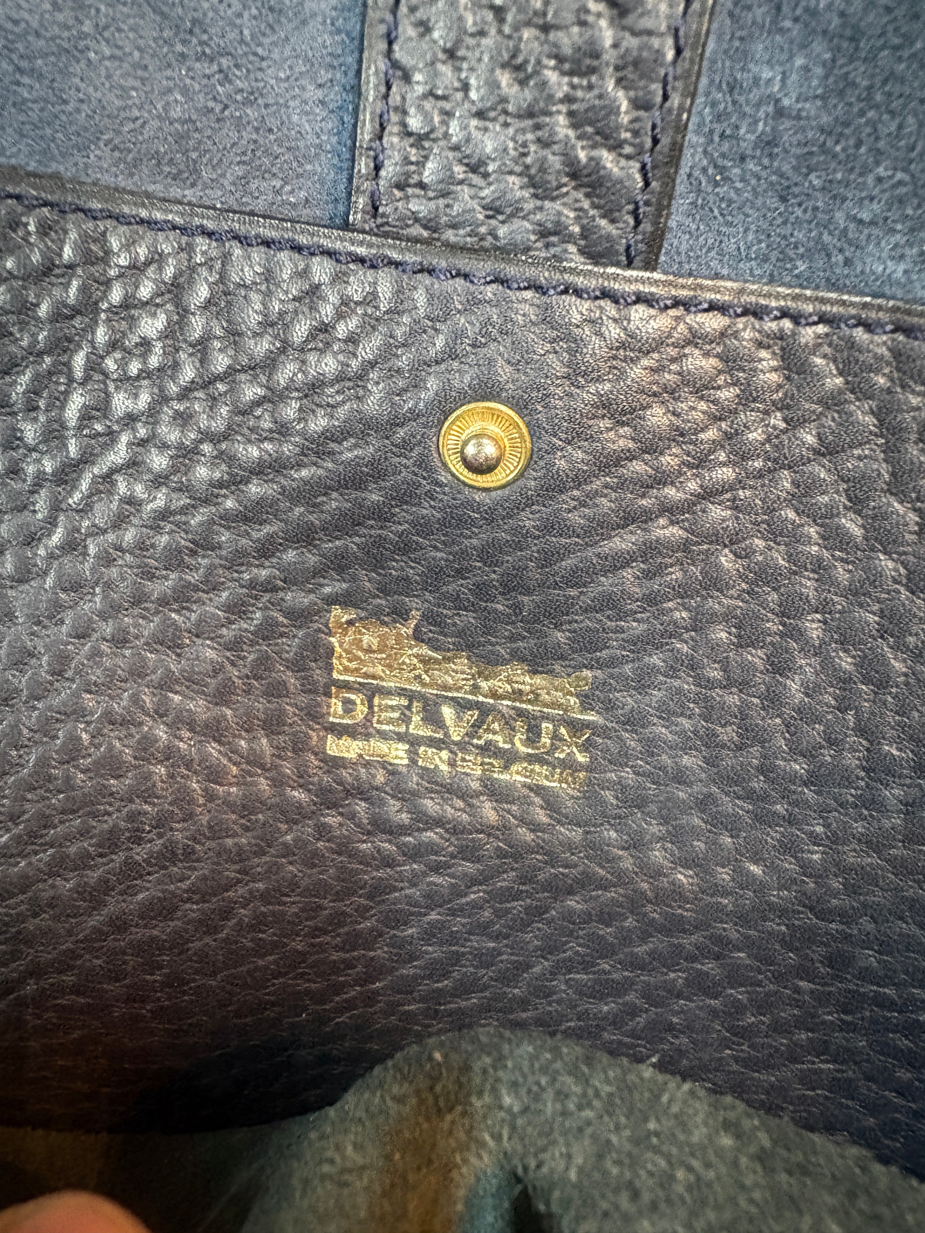 Vintage Delvaux Sosie Crossbody Bag