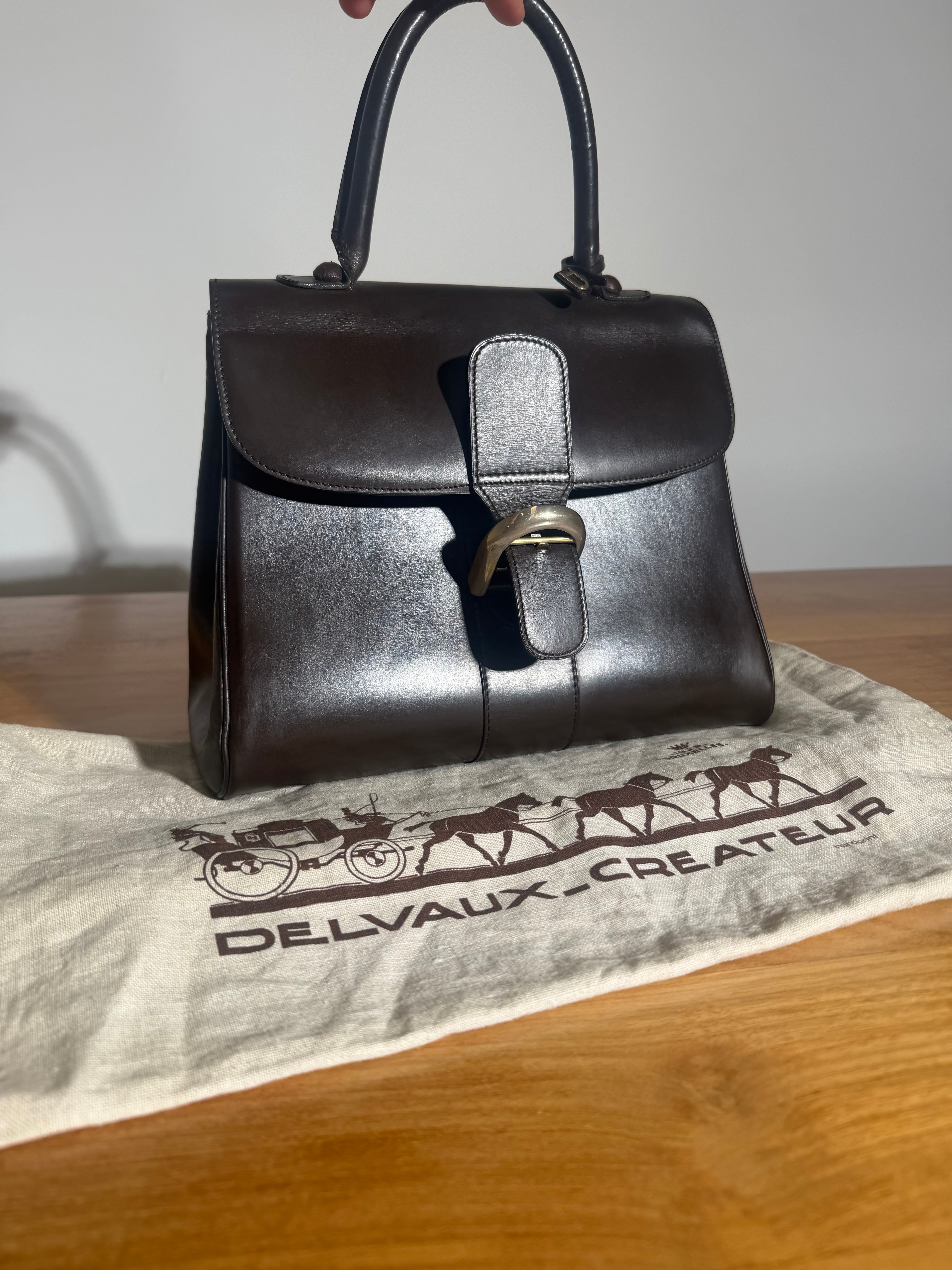 Delvaux Brillant MM Handbag – Chocolate Brown Leather