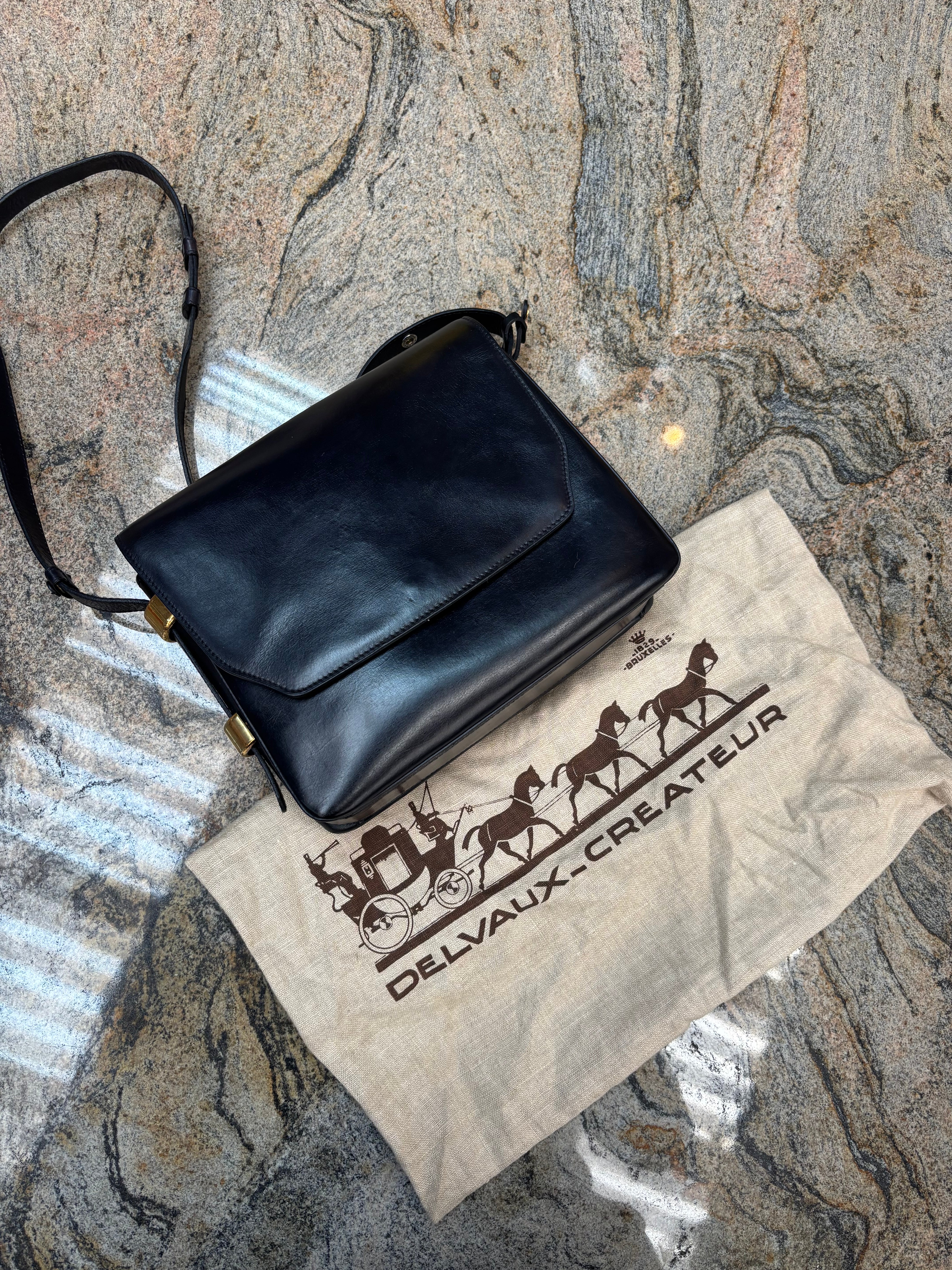 Delvaux Crossbody Bag