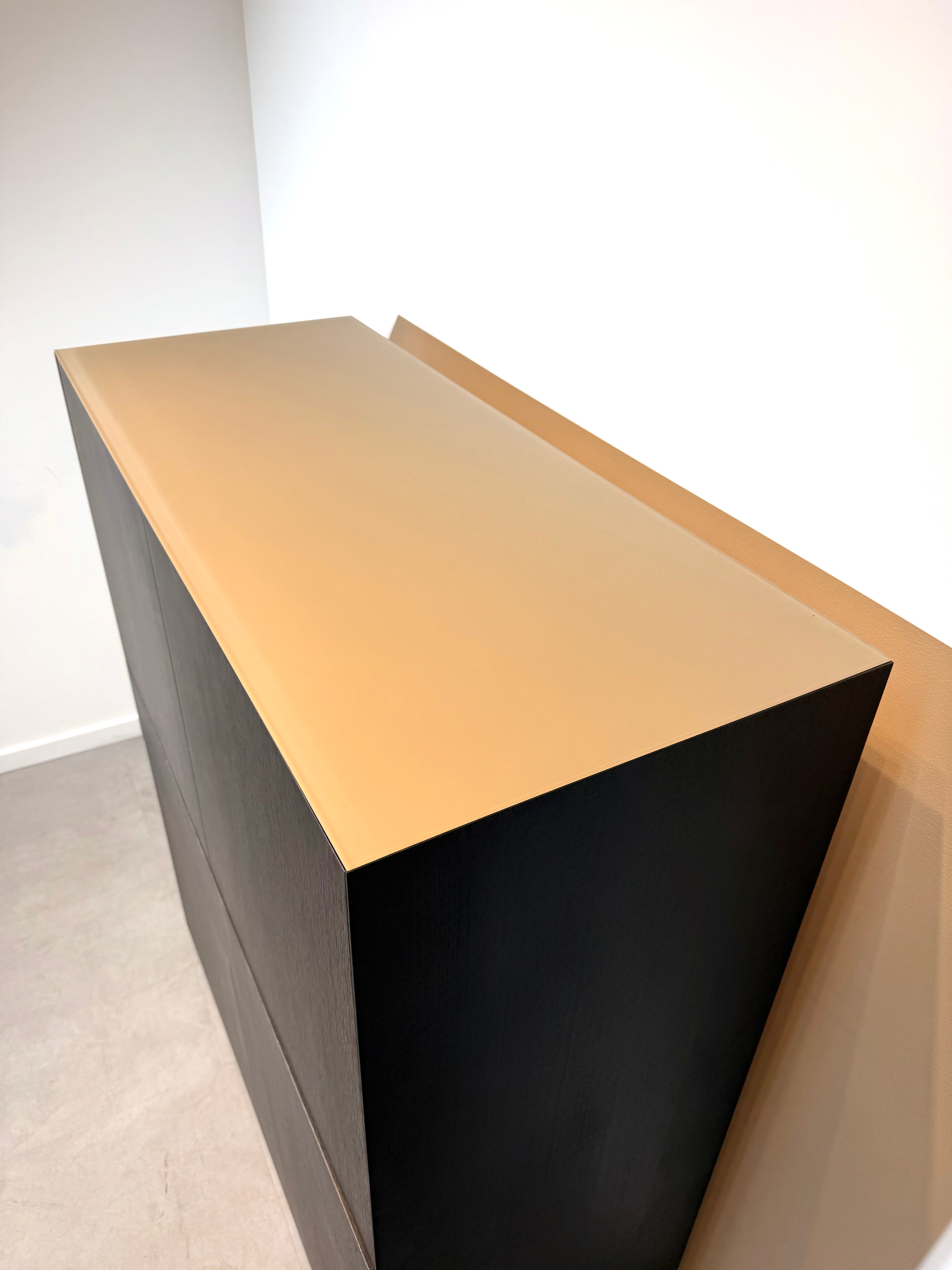 Contemporary Wooden Storage Cabinet with Glass Top