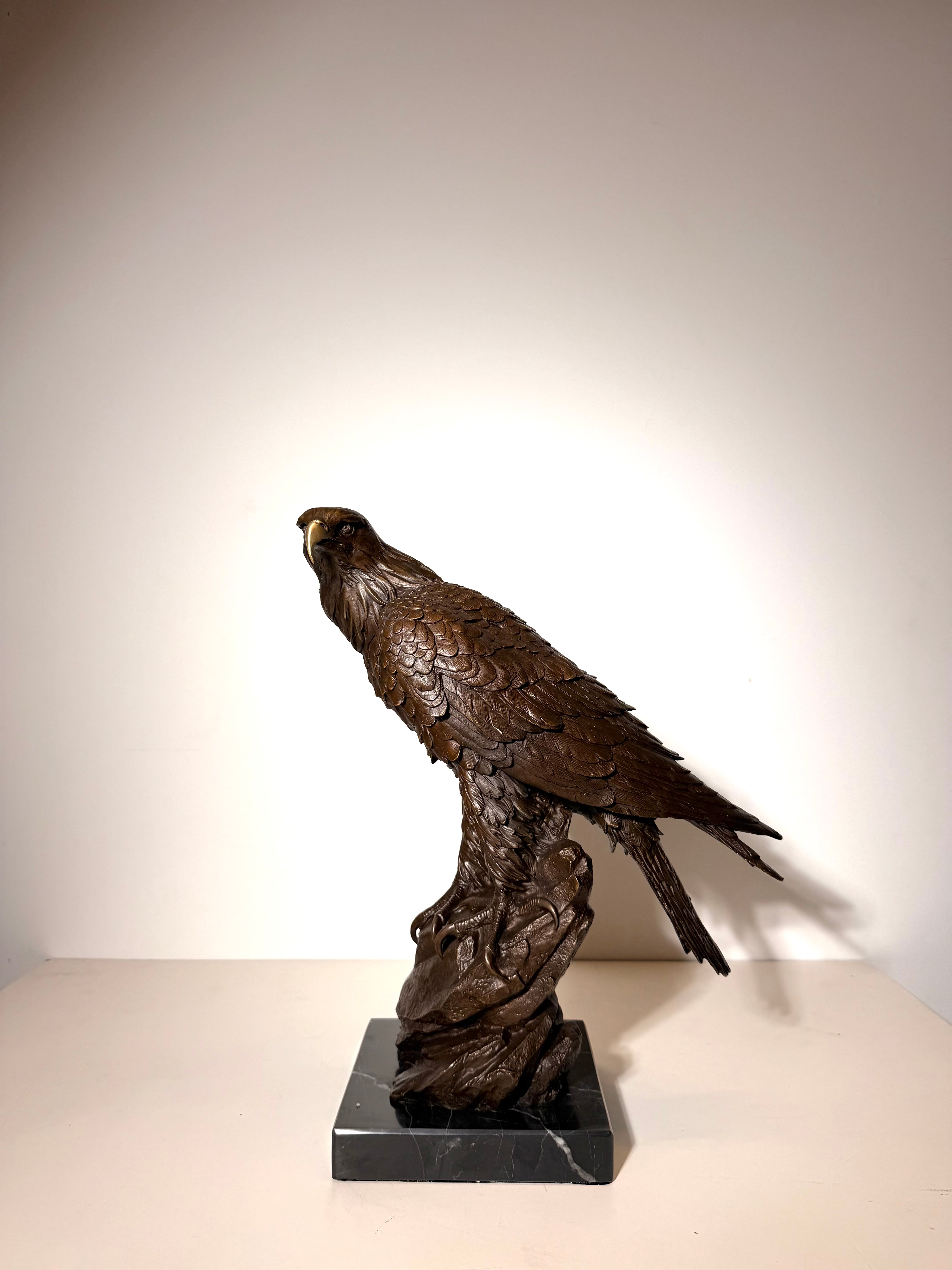 Large Bronze Eagle Sculpture