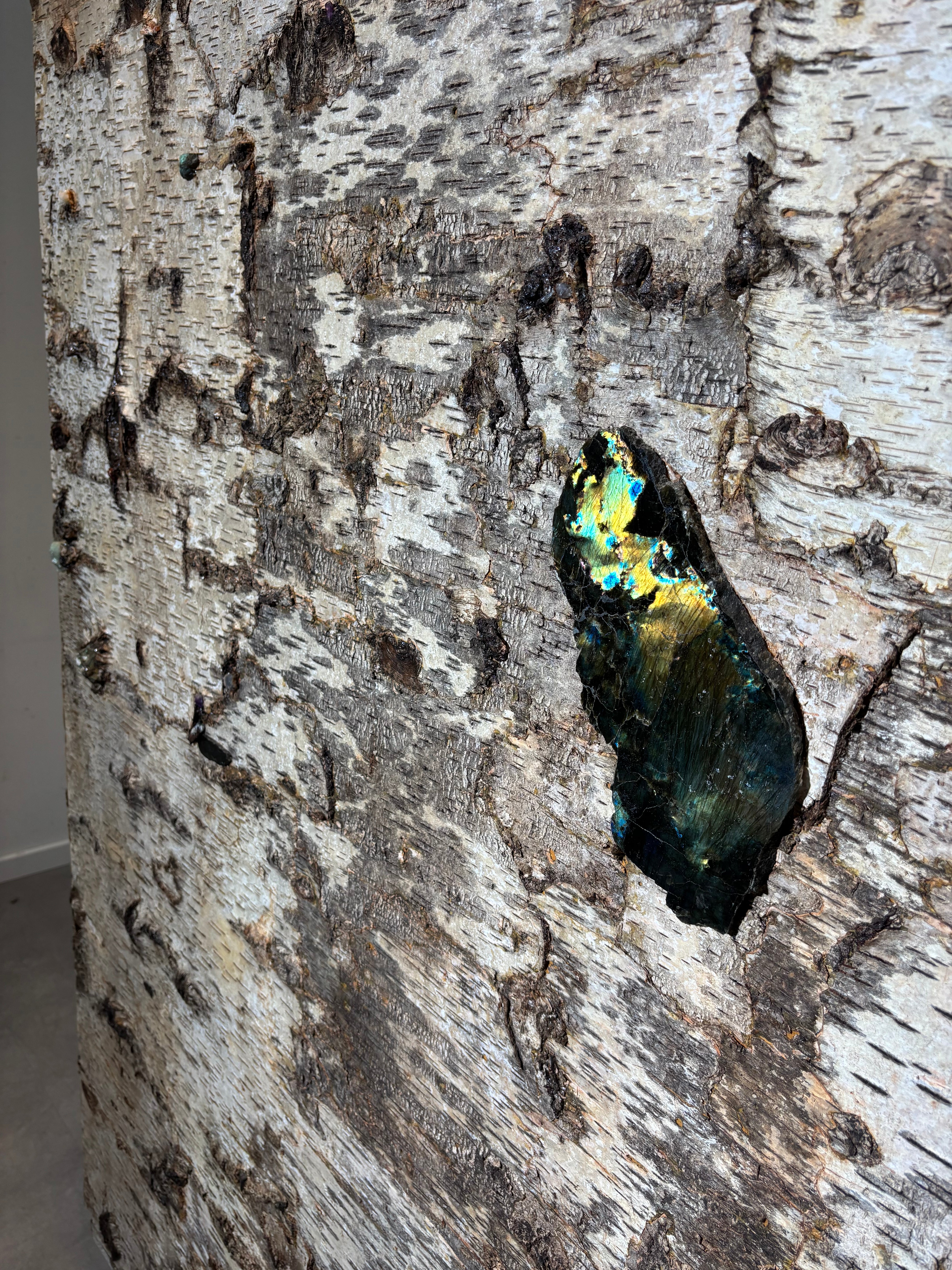 Birch Bark Bookcase by Sophie Gallardo & George Guillaume Cassan