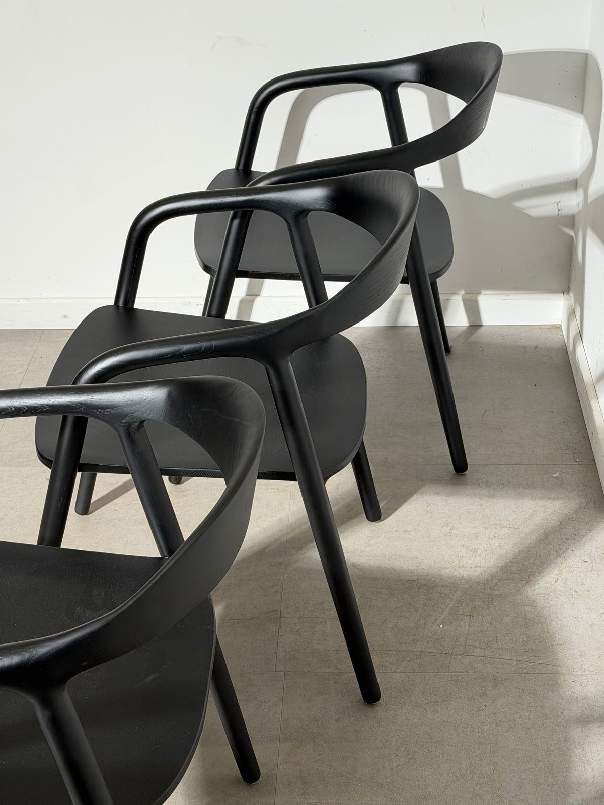 Riga Chair in Black Ashwood