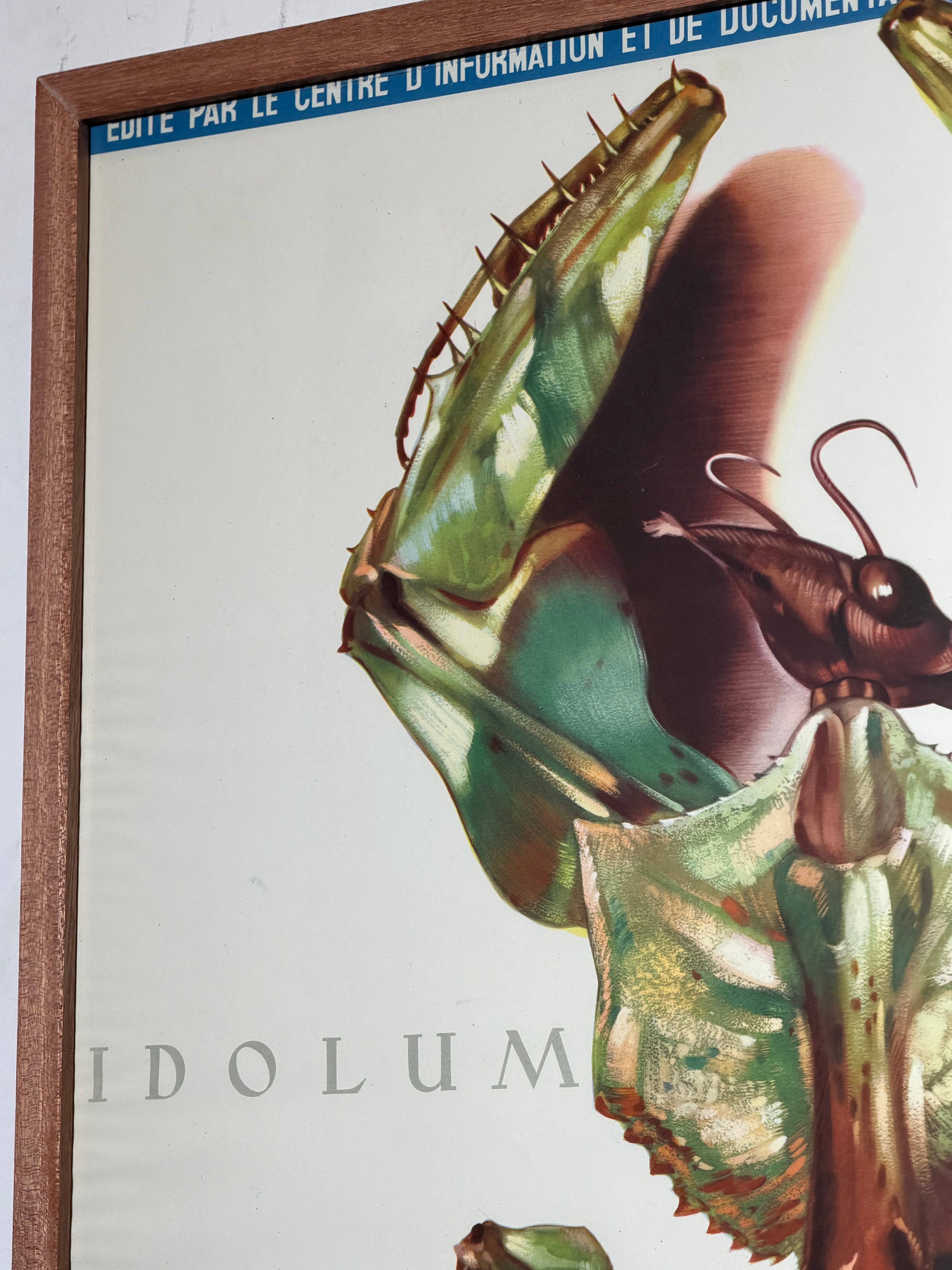 Vintage exhibition poster / lithograph – Musée Royal du Congo Belge by Jean Van Noten, Tervuren