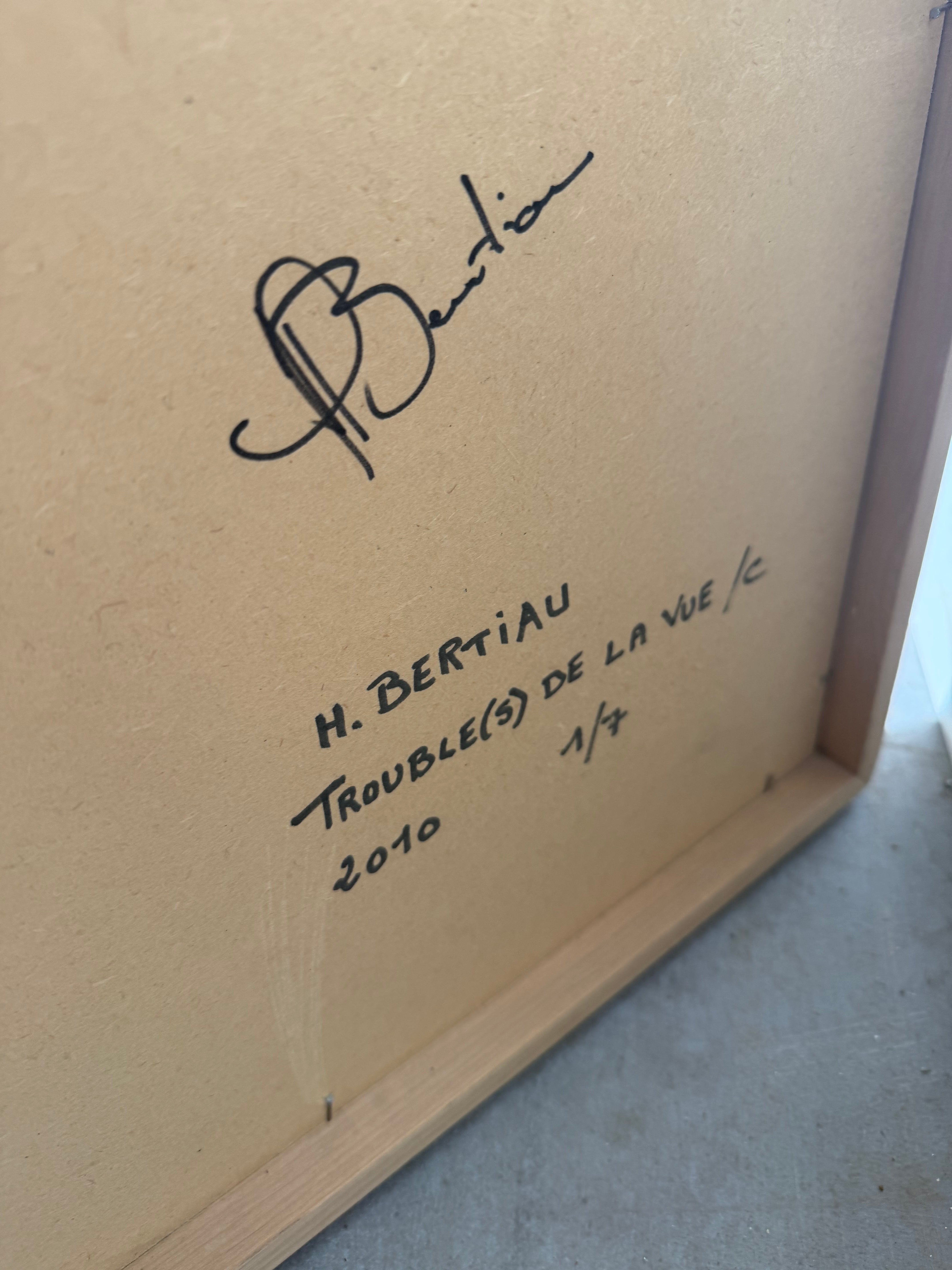 Herman Bertiau – “Trouble(s) de la vue / C” (2010) – Limited Edition 1/7 – Framed Photograph