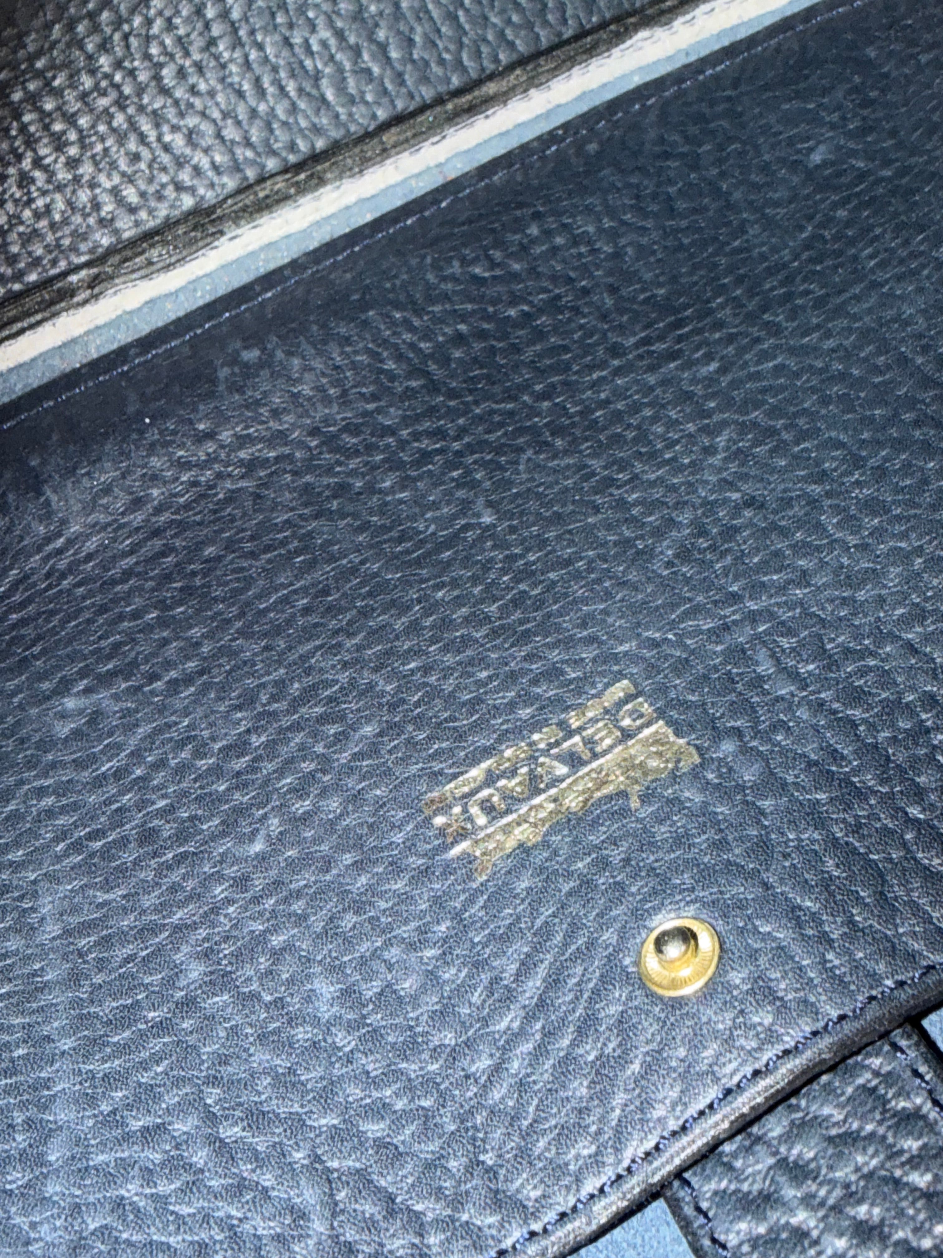 Delvaux “Sosie” Crossbody Bag – 1998