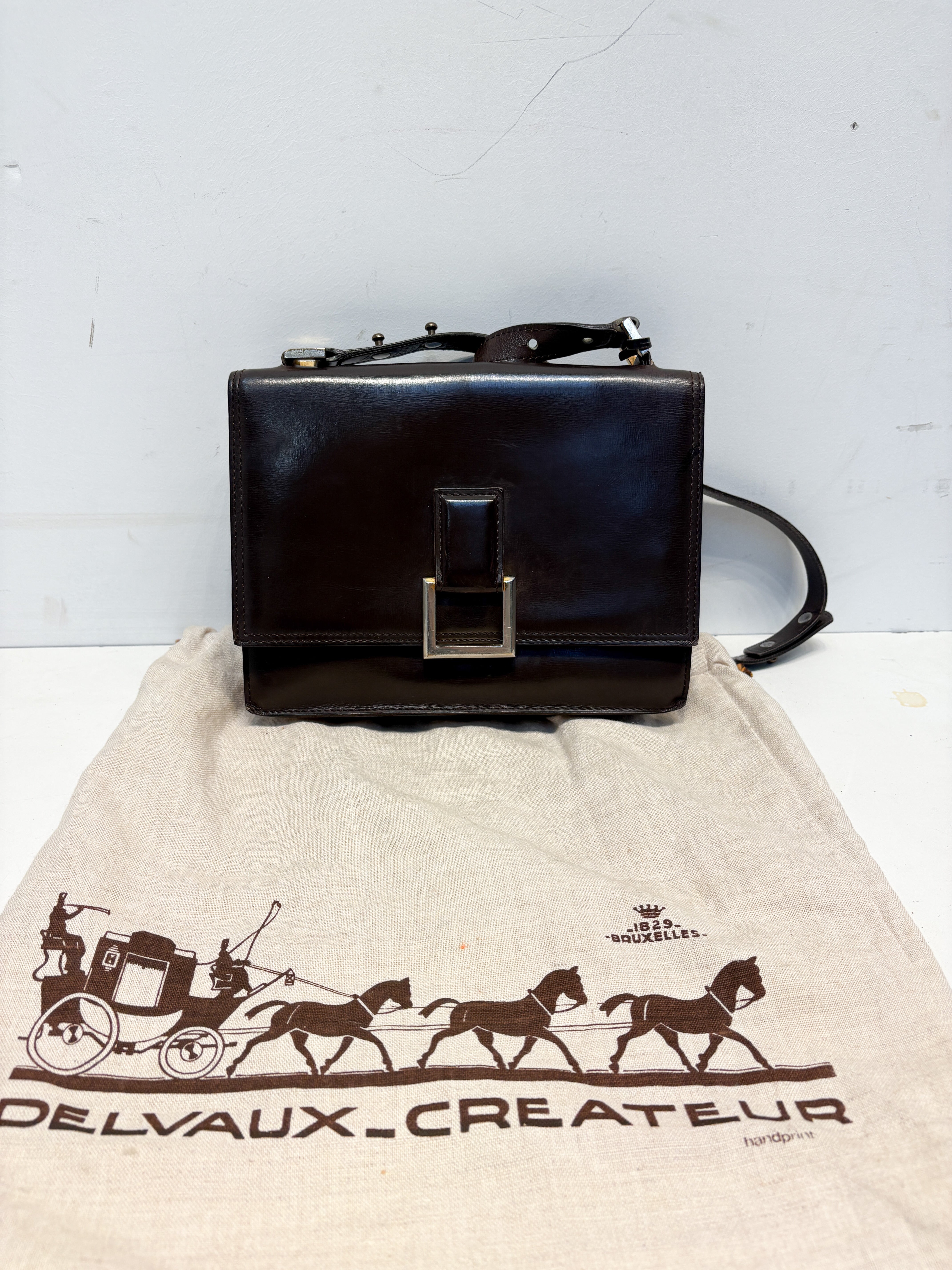 Delvaux Poirier Vintage