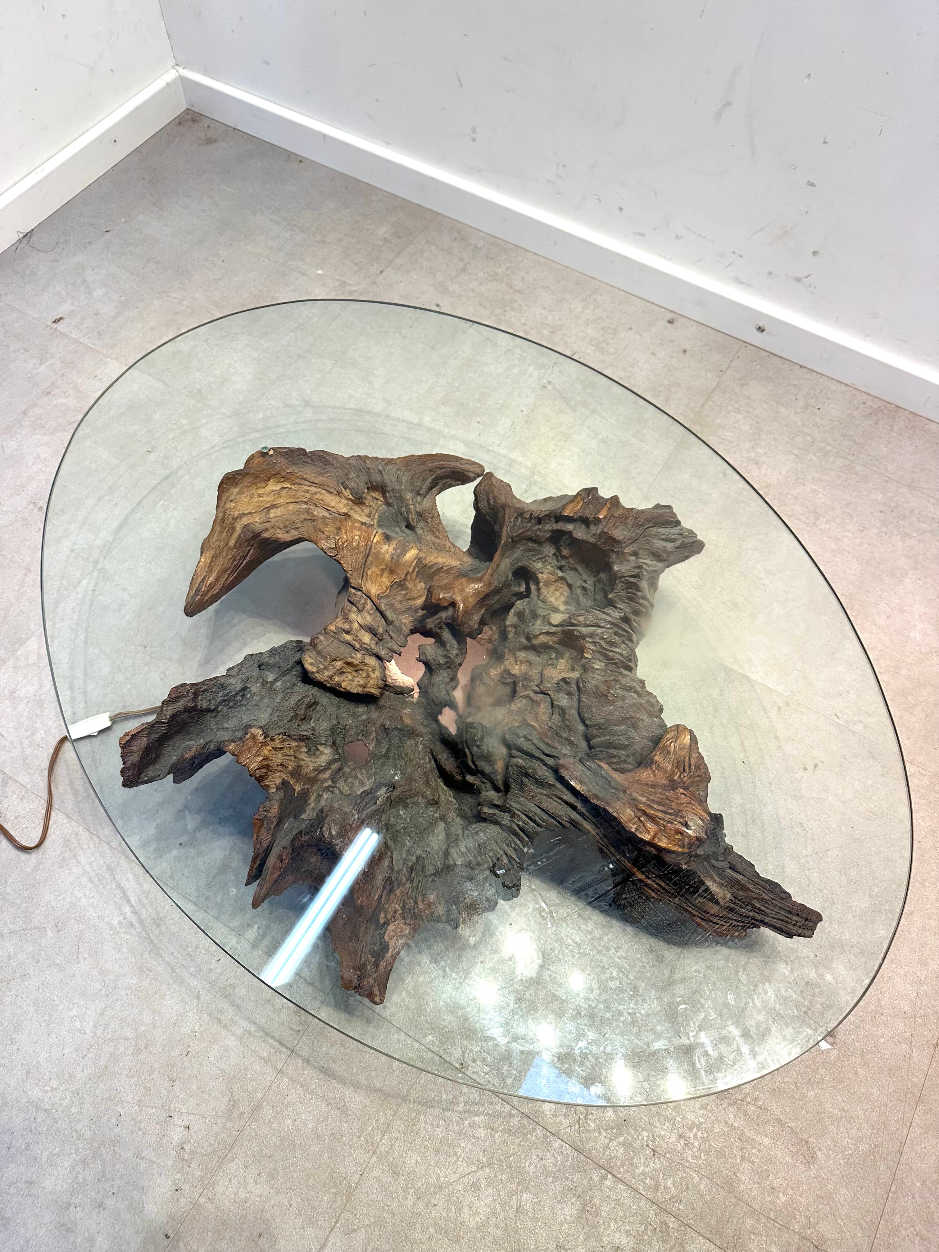 Root Coffee Table with Oval Glass Top
