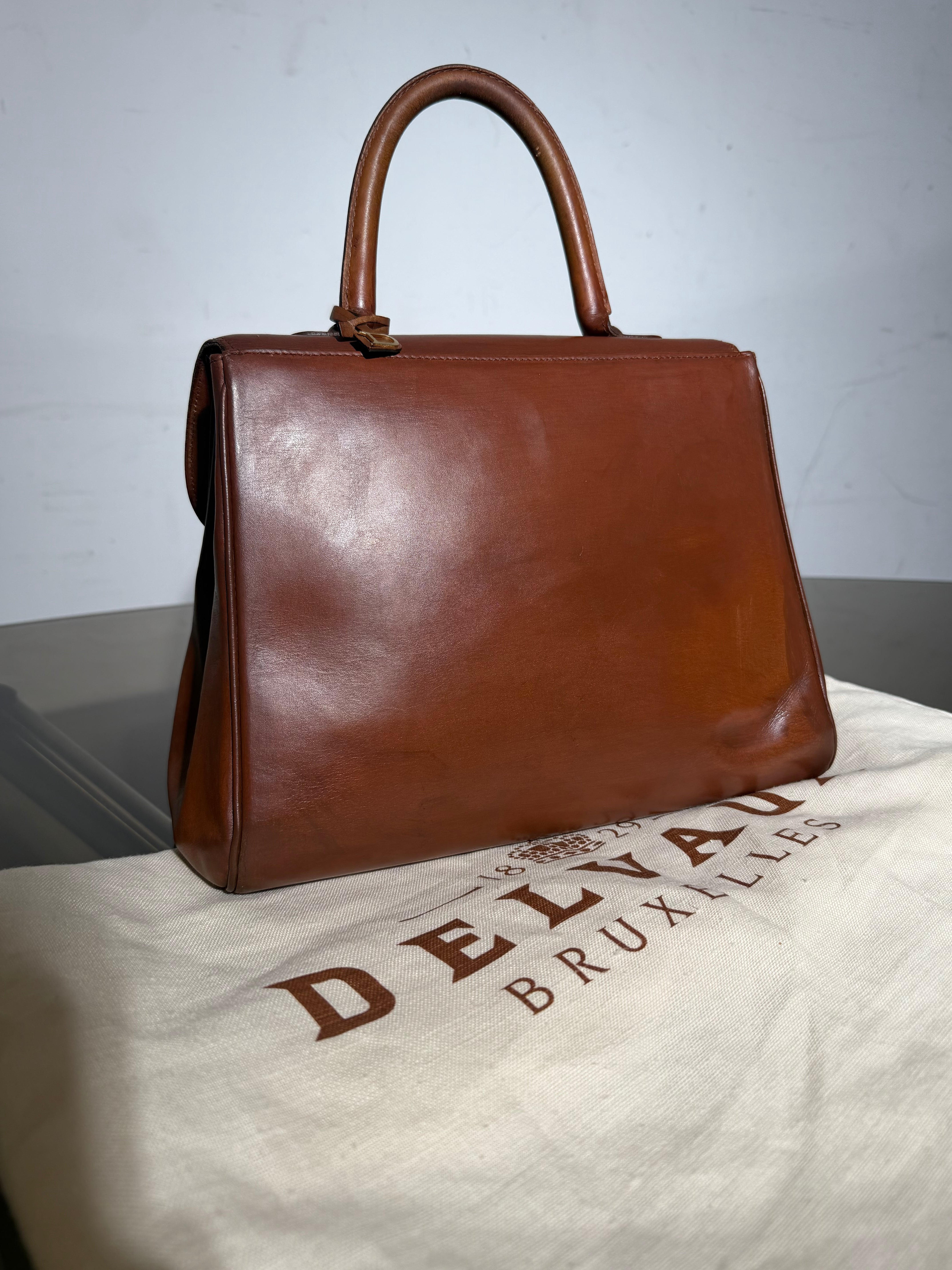 Delvaux Brillant MM Handbag Cognac Brown Leather With Mirror & Dustbag