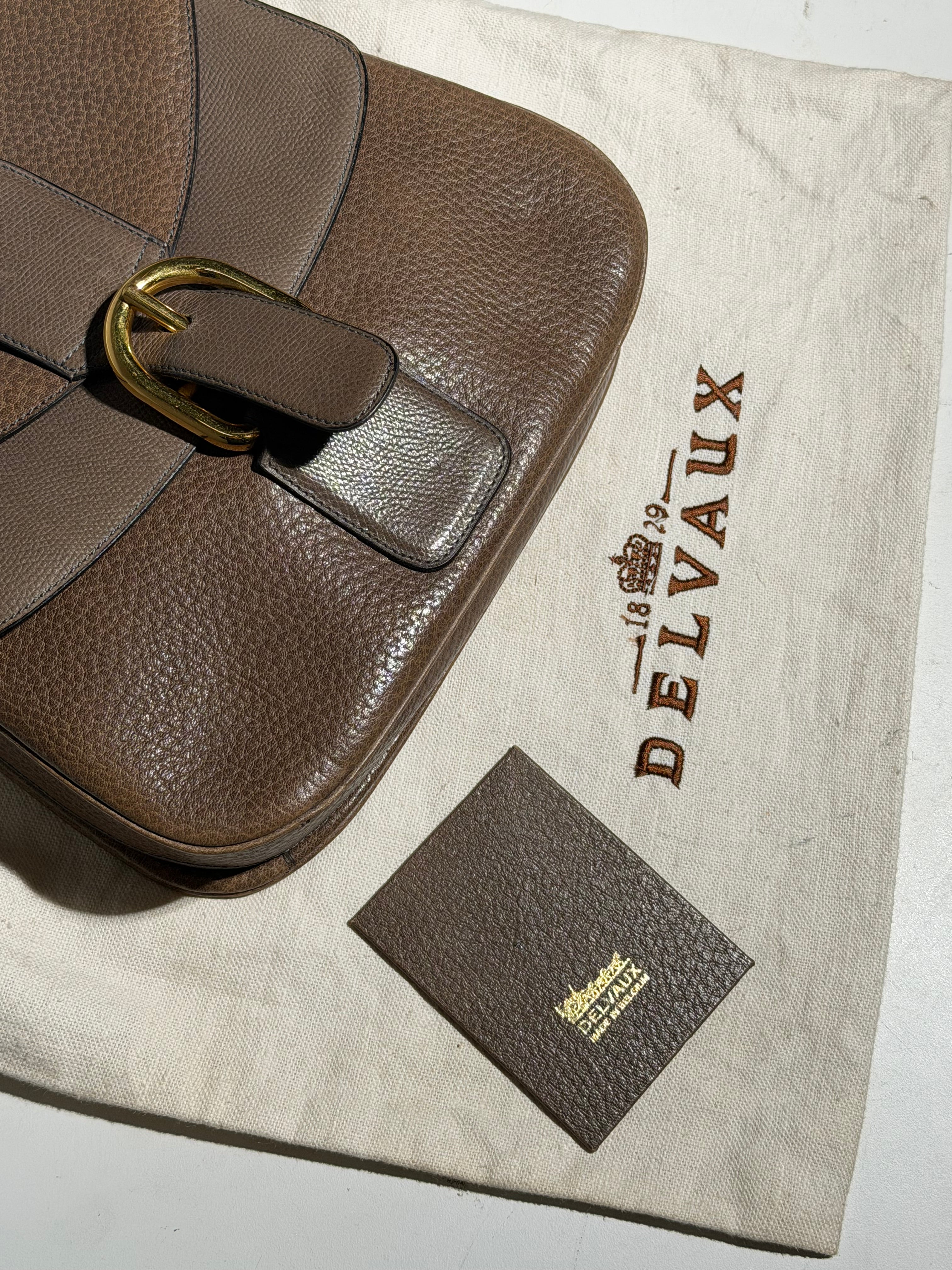 Vintage Delvaux Two-Tone Leather Handbag with Gold Hardware