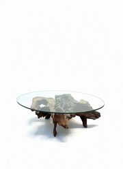 Root Coffee Table with Oval Glass Top