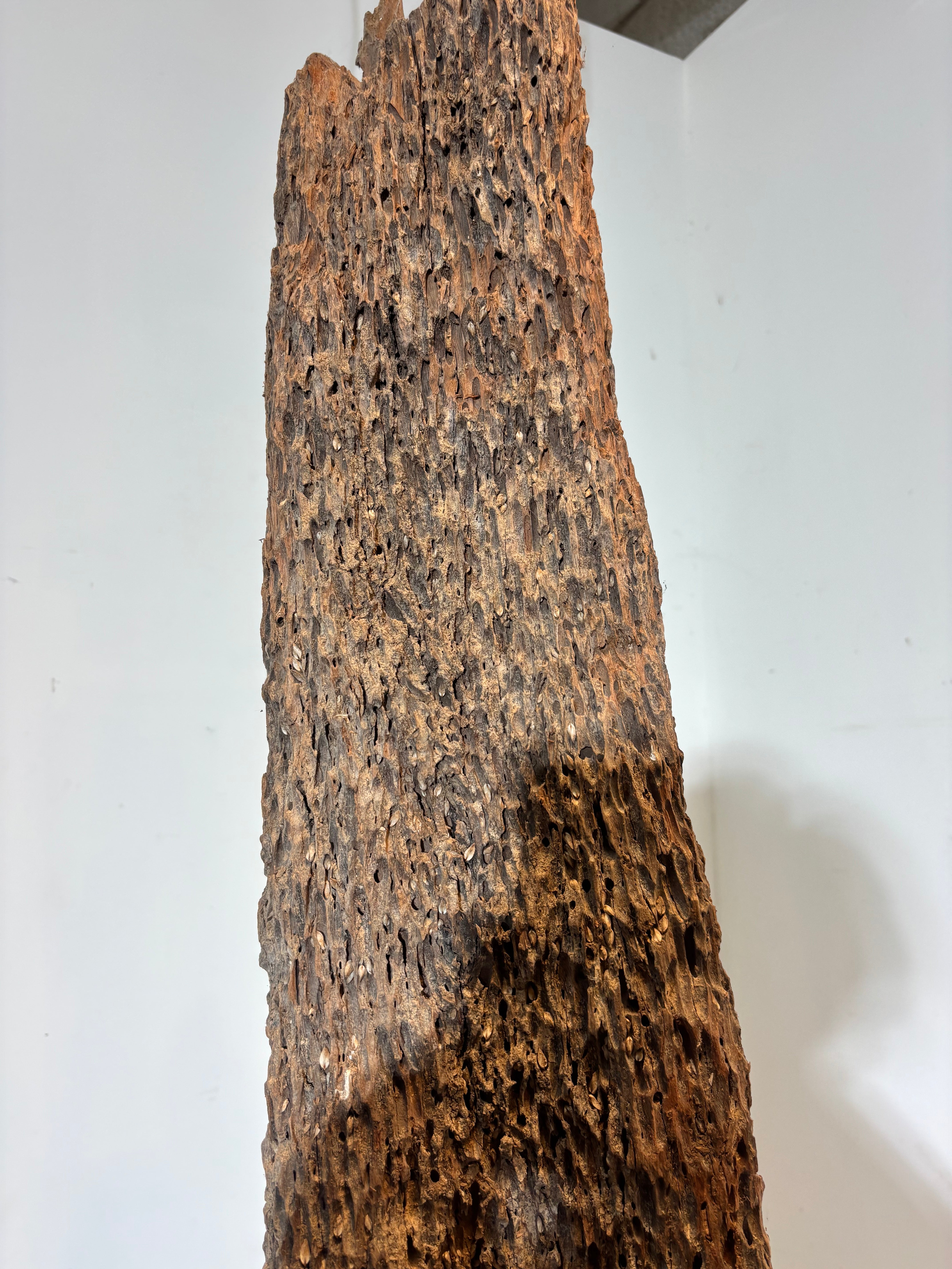 Decoratie voor het huren van een houten oester