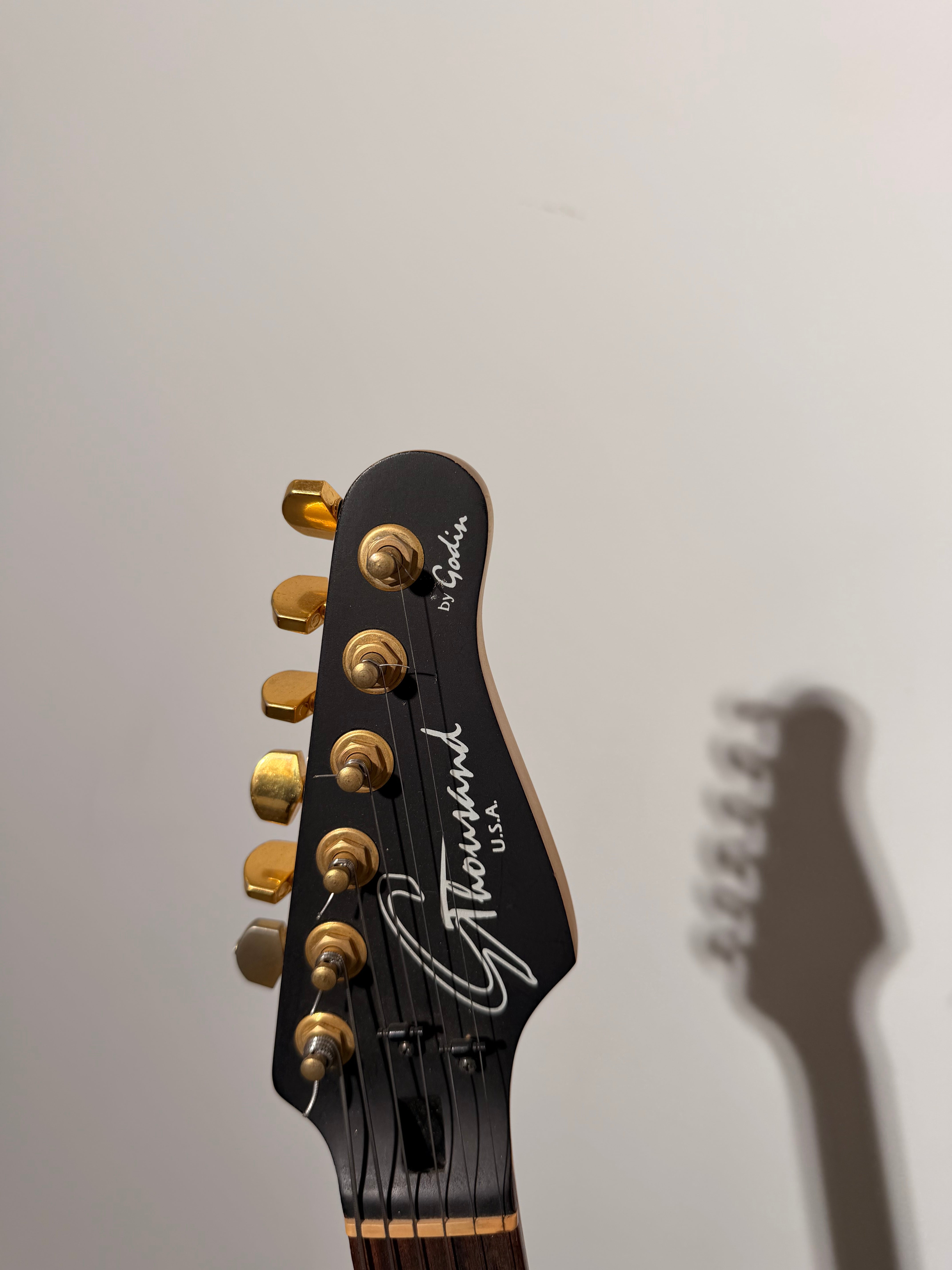 Electric Guitar By Godin