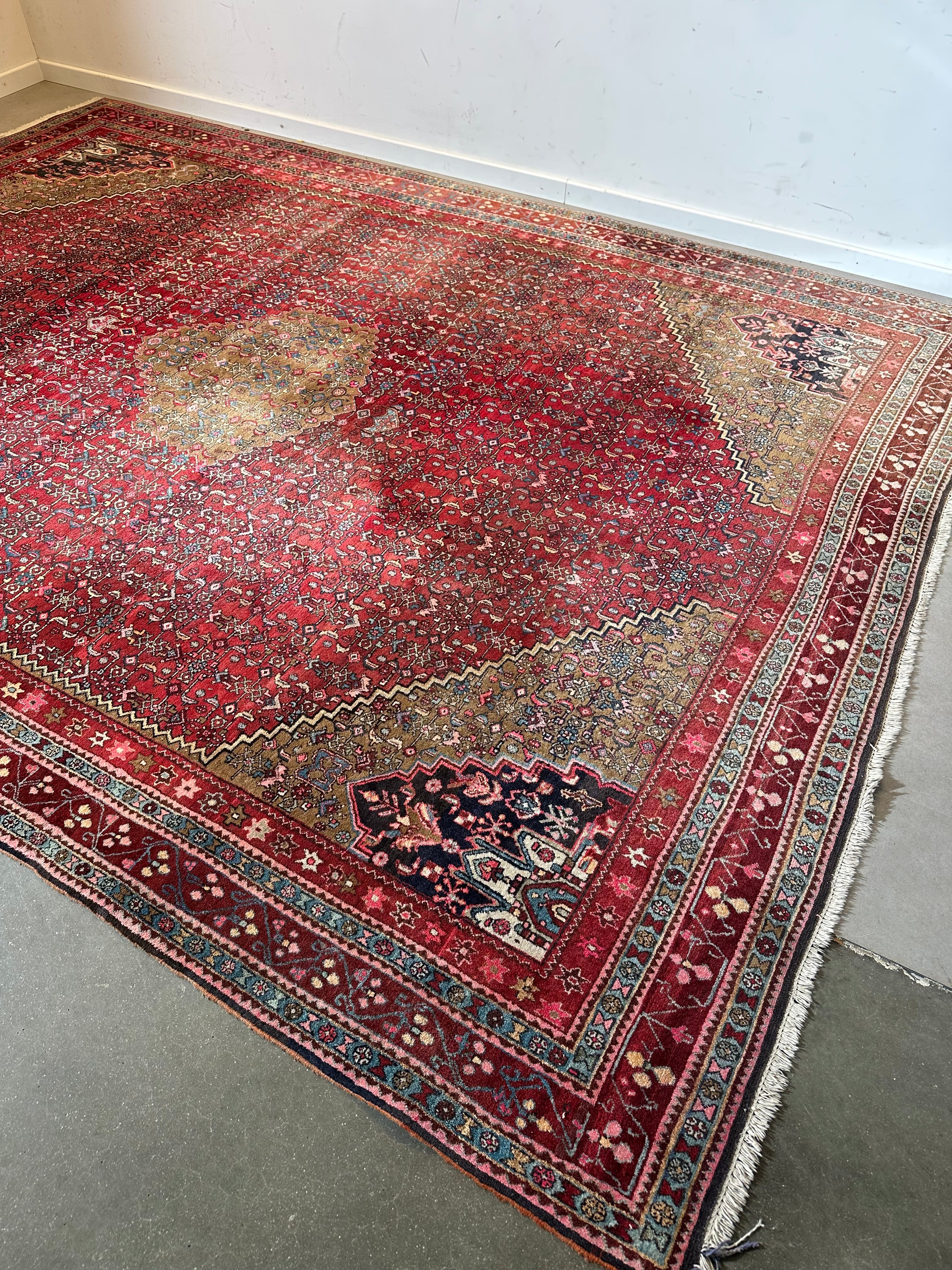 Large Hand-Knotted Oriental Rug - With Certificate
