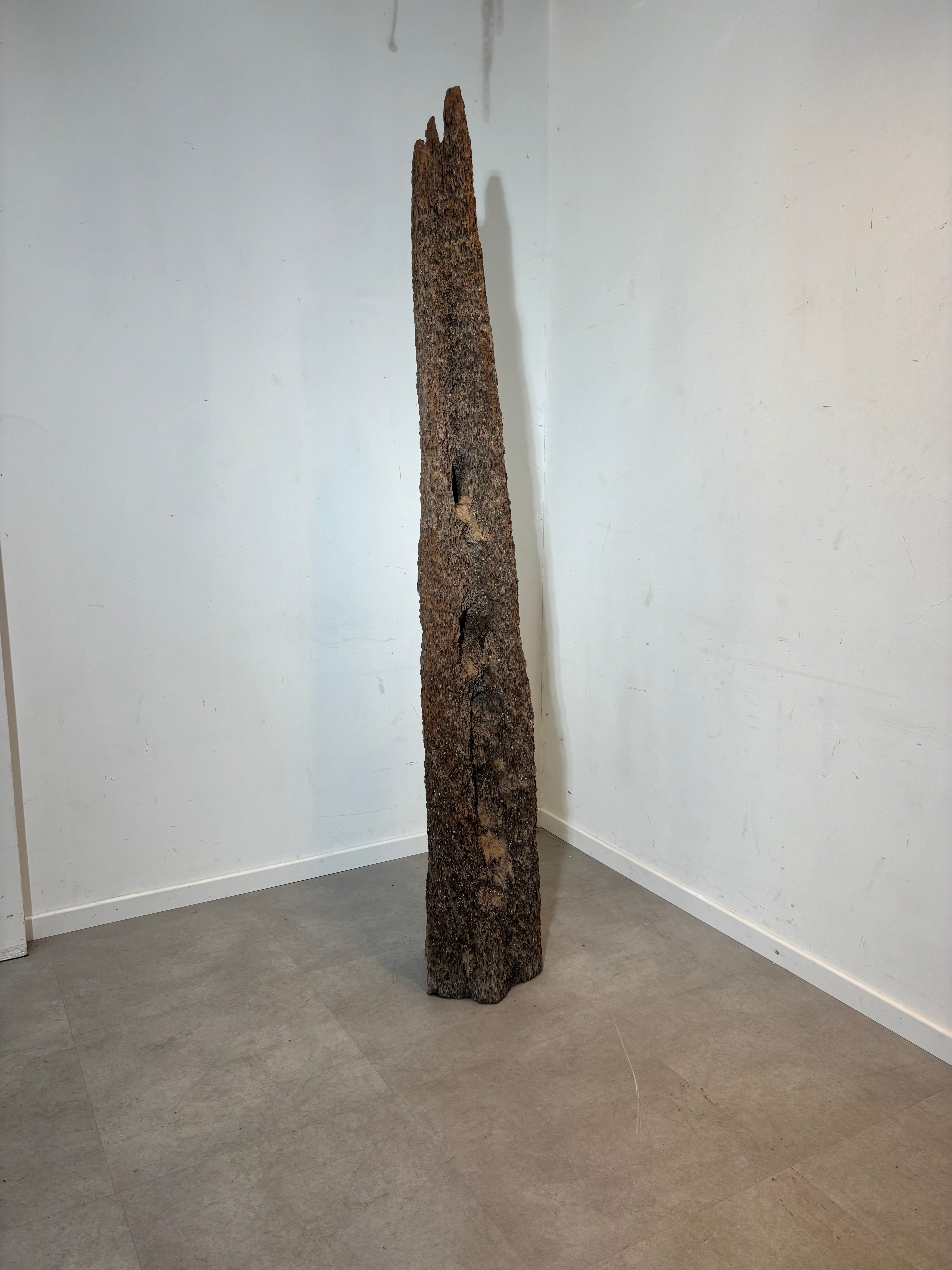 Decoratie voor het huren van een houten oester