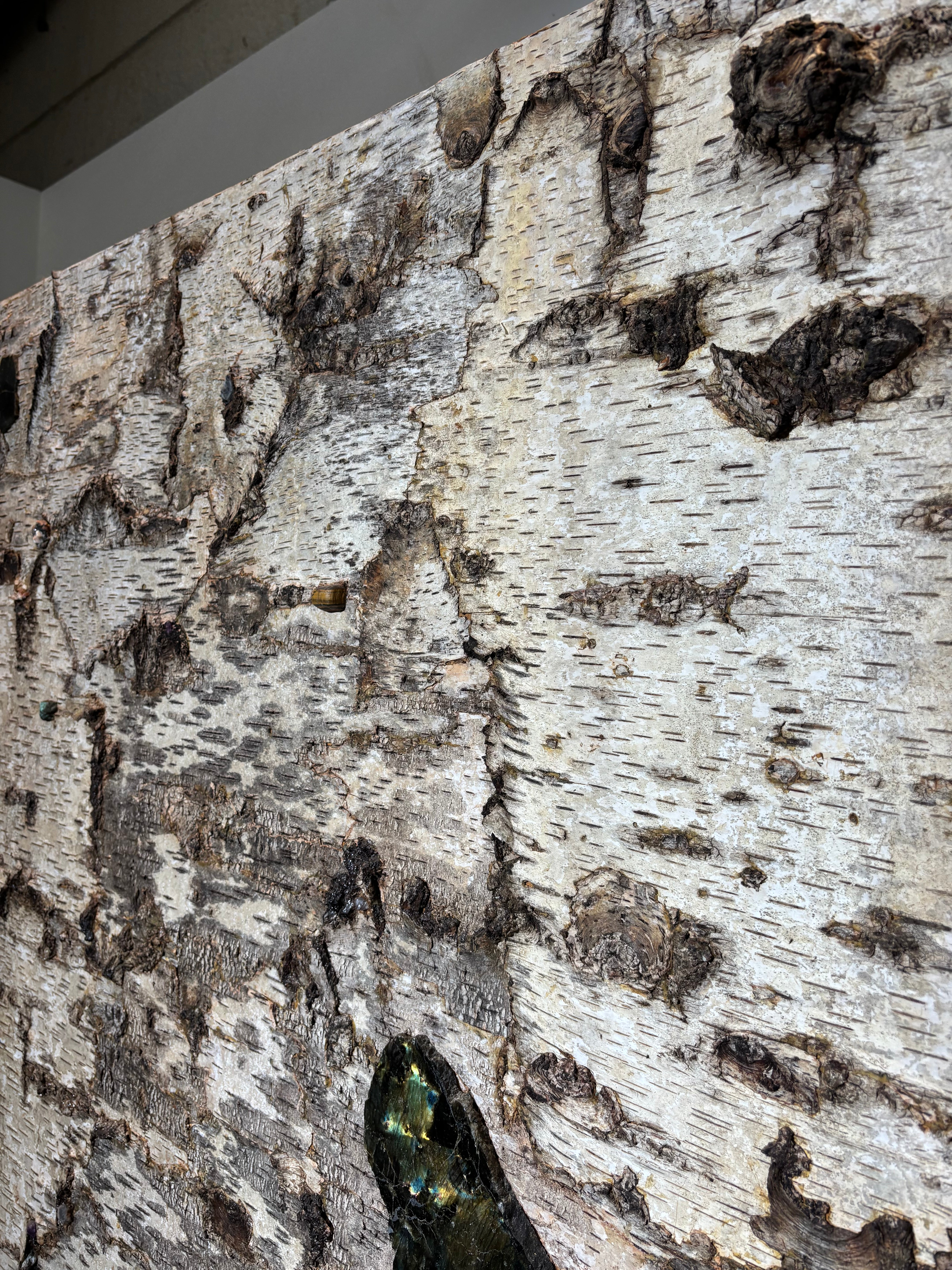 Birch Bark Bookcase by Sophie Gallardo & George Guillaume Cassan