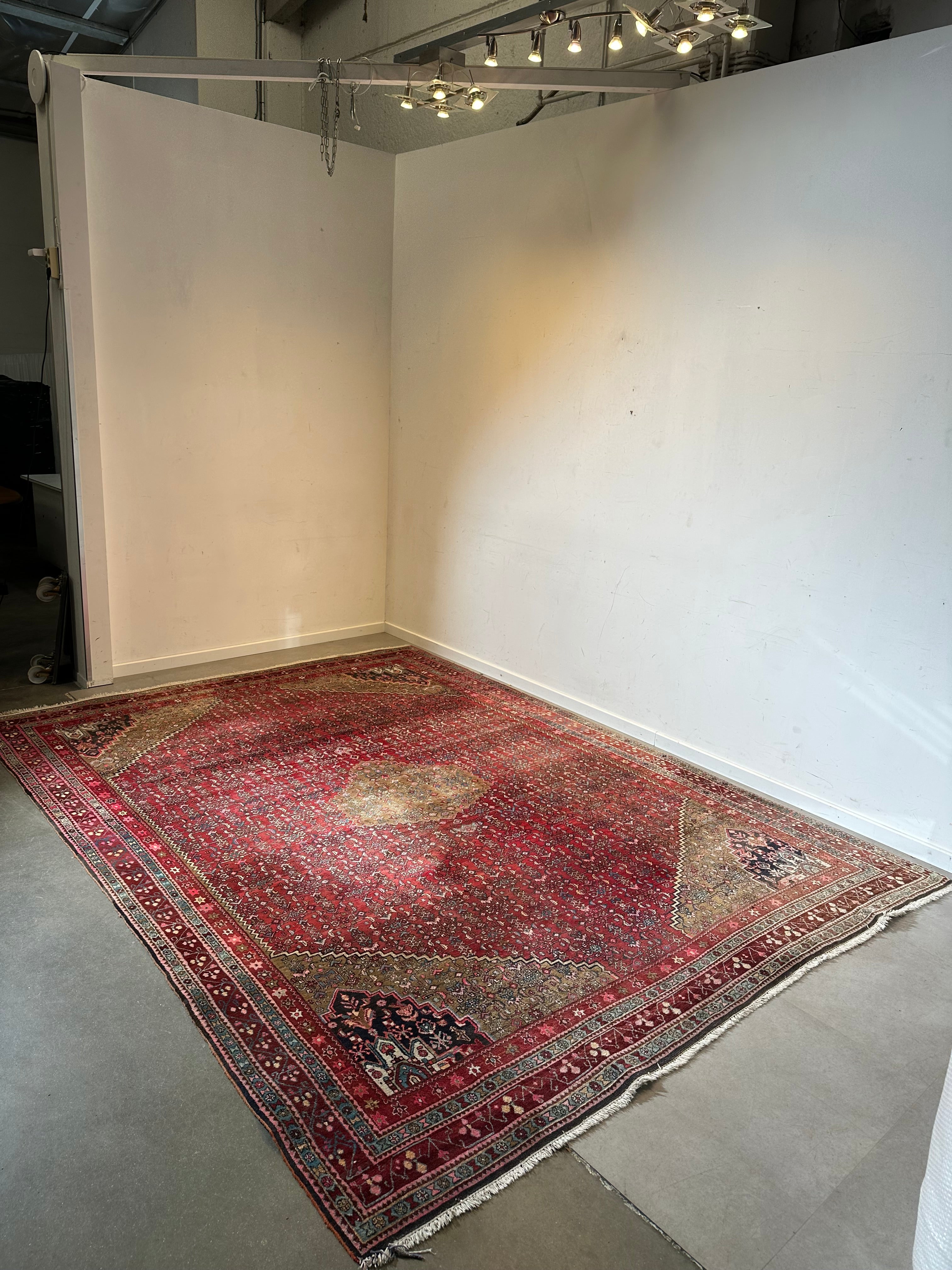 Large Hand-Knotted Oriental Rug - With Certificate