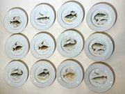 Set of 12 Limoges Fish Plates – Hand Decorated – Ø 21,5 cm