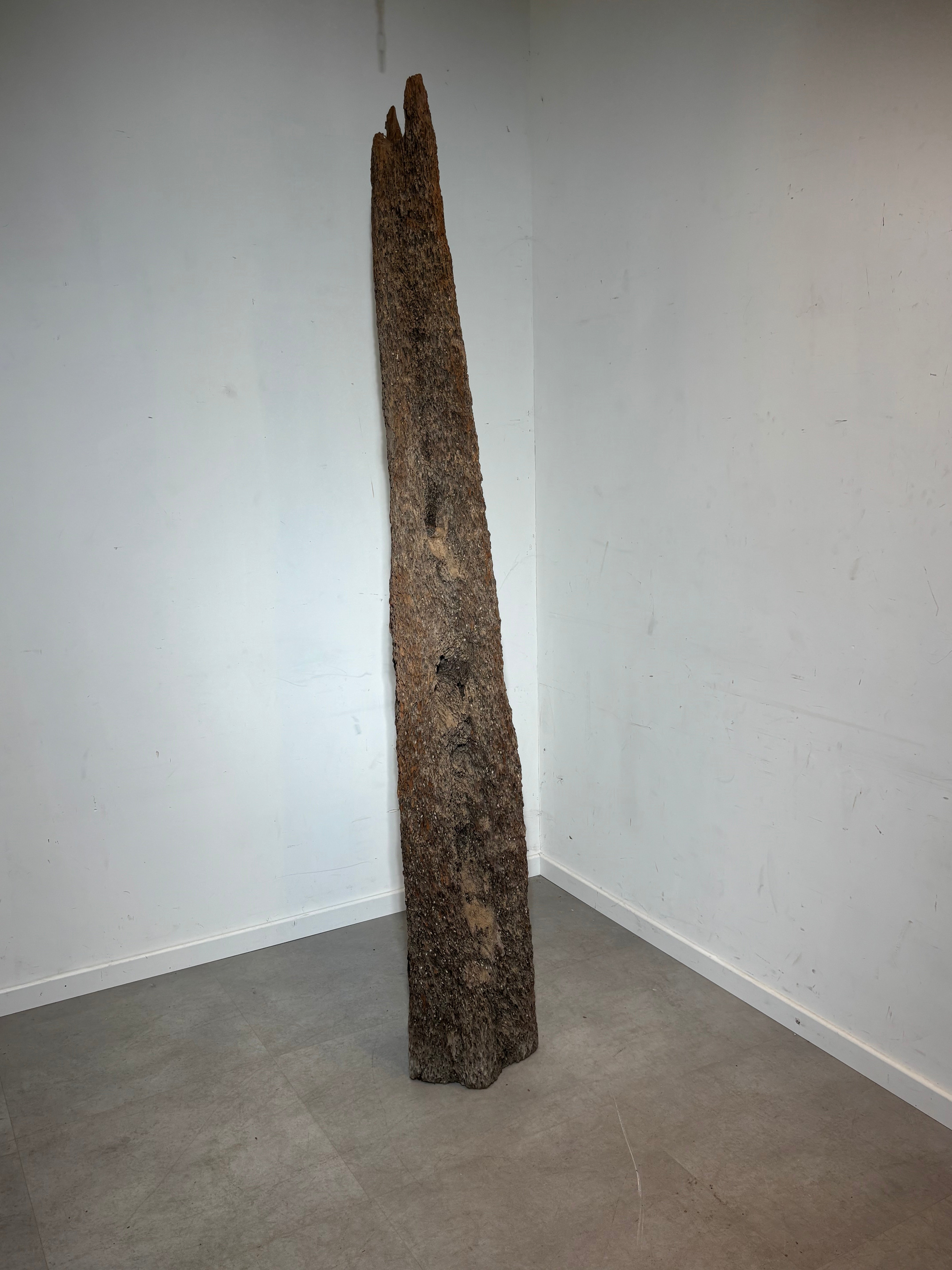 Decoratie voor het huren van een houten oester