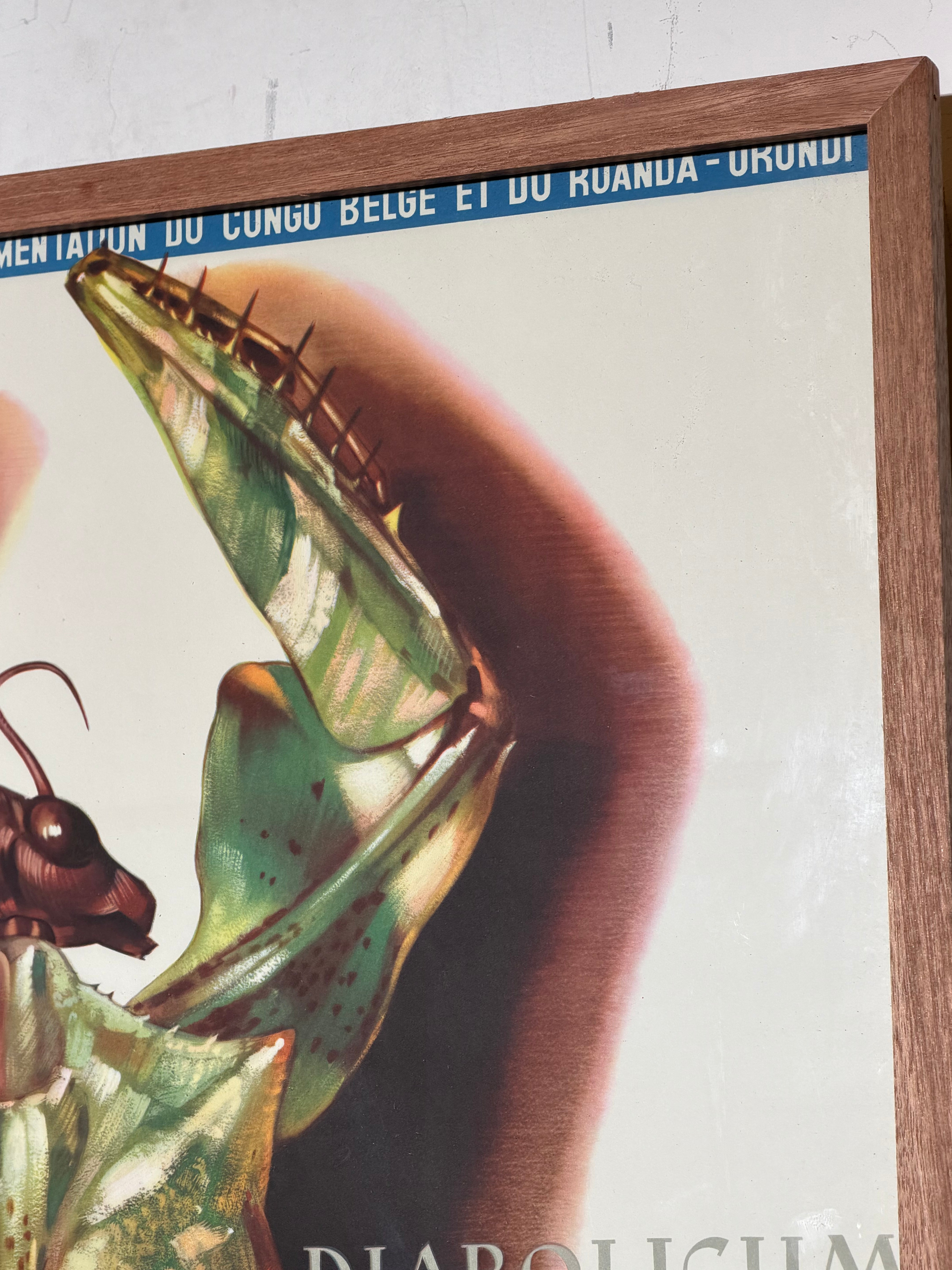 Vintage exhibition poster / lithograph – Musée Royal du Congo Belge by Jean Van Noten, Tervuren