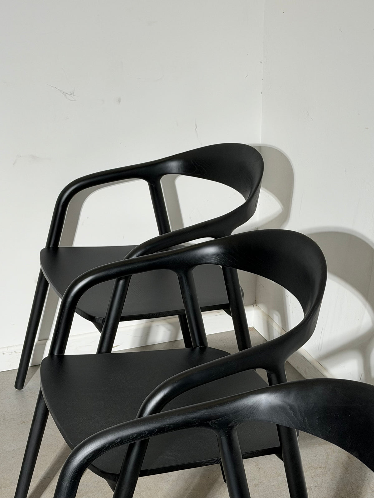 Riga Chair in Black Ashwood