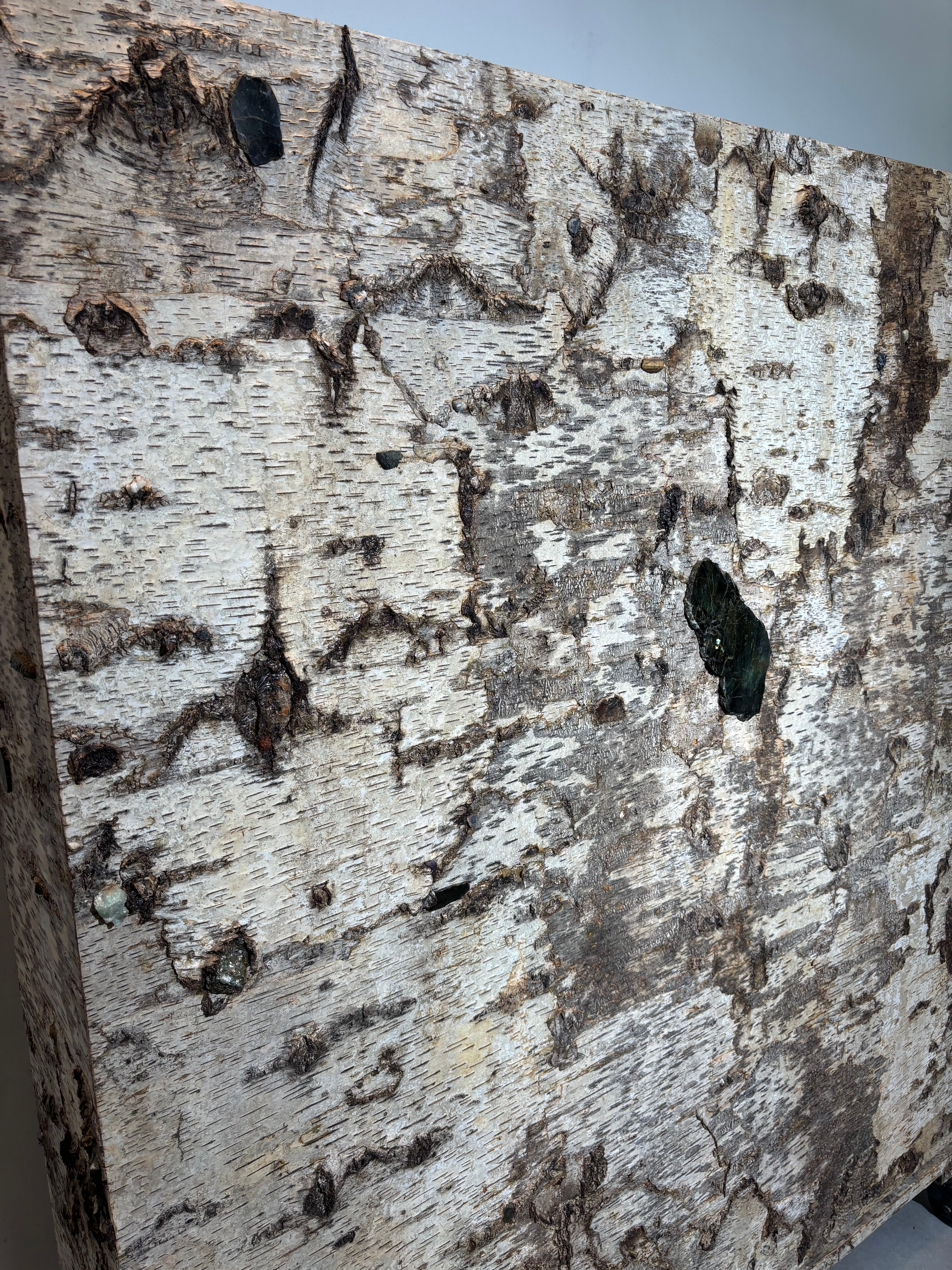 Birch Bark Bookcase by Sophie Gallardo & George Guillaume Cassan