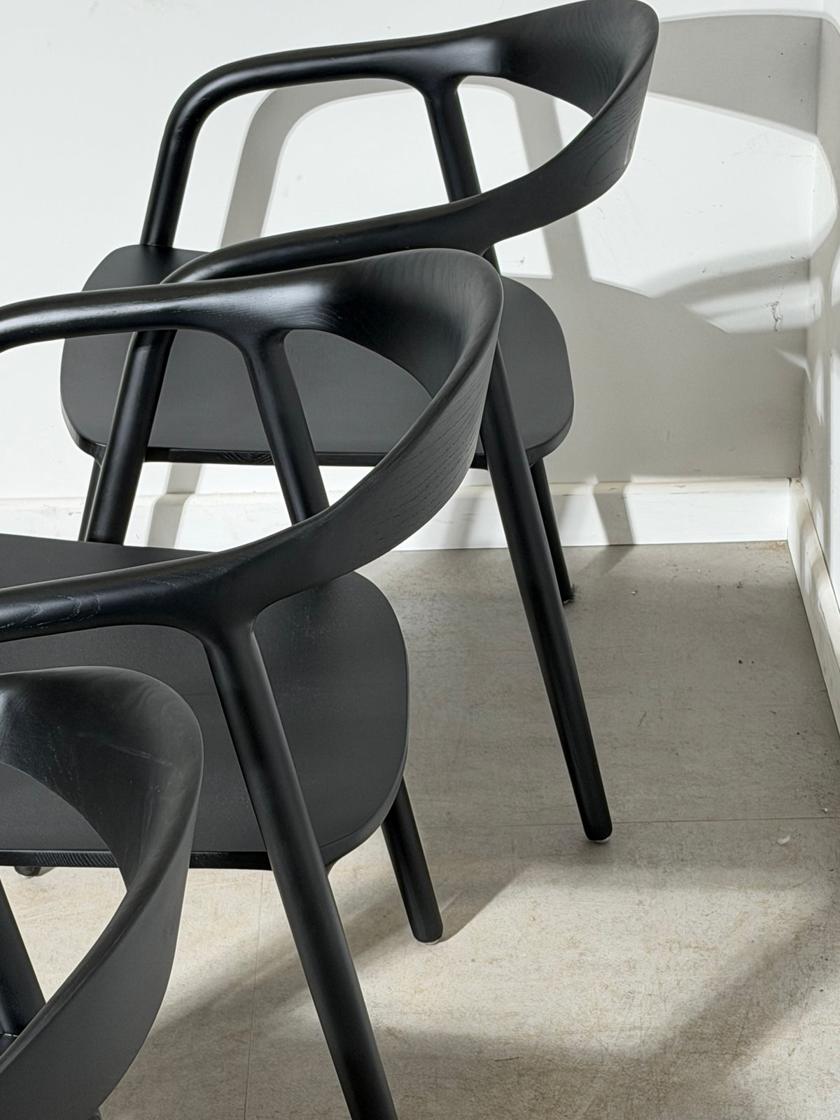 Riga Chair in Black Ashwood