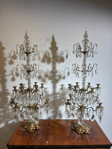 Pair of very large crystal Chandeliers