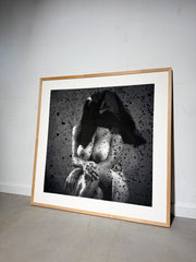 Herman Bertiau – “Trouble(s) de la vue / C” (2010) – Limited Edition 1/7 – Framed Photograph