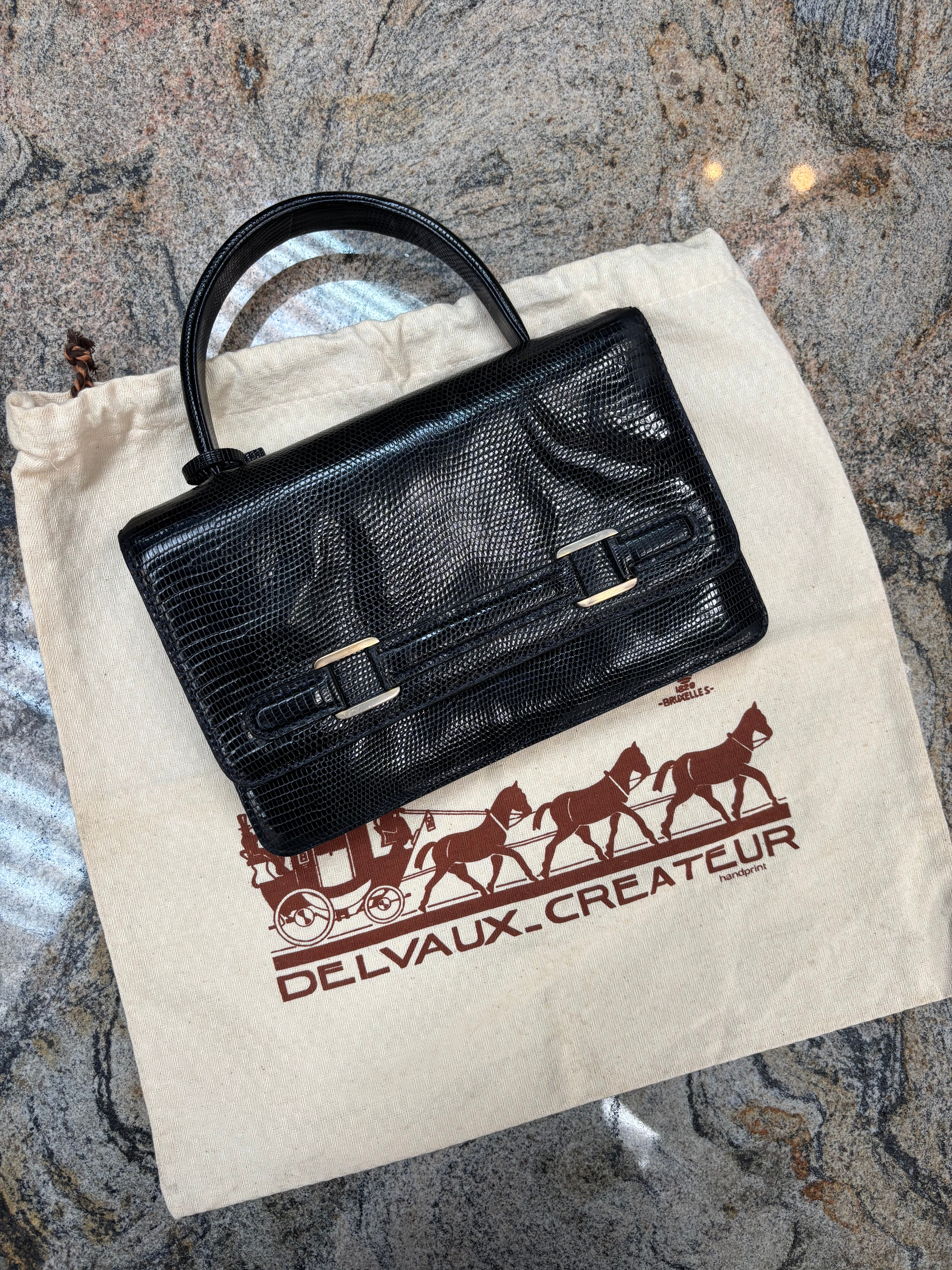 Vintage Delvaux Lézard Noir