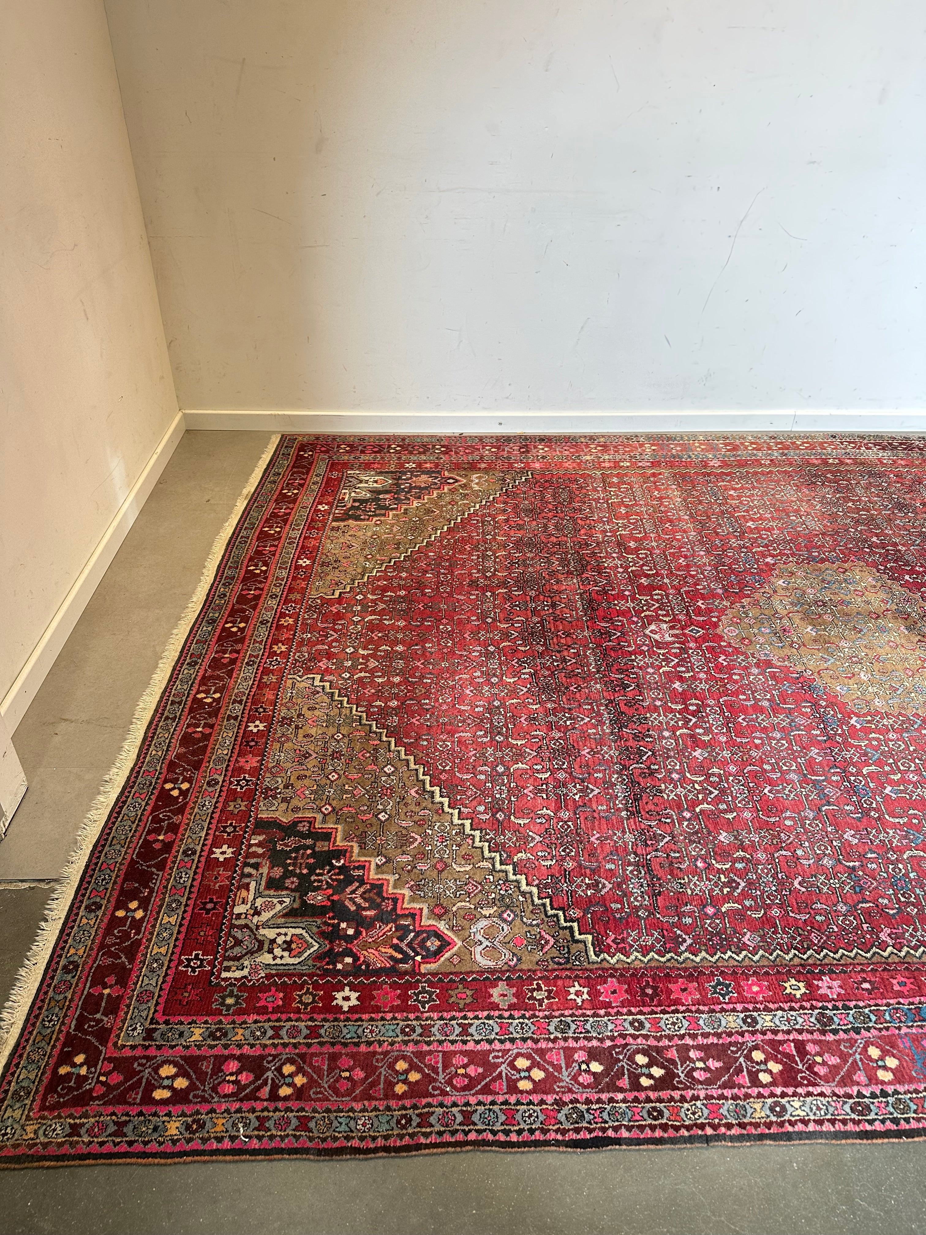 Large Hand-Knotted Oriental Rug - With Certificate
