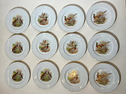 Set of 12 Limoges wild plates – Hand Decorated – Ø 21,5 cm