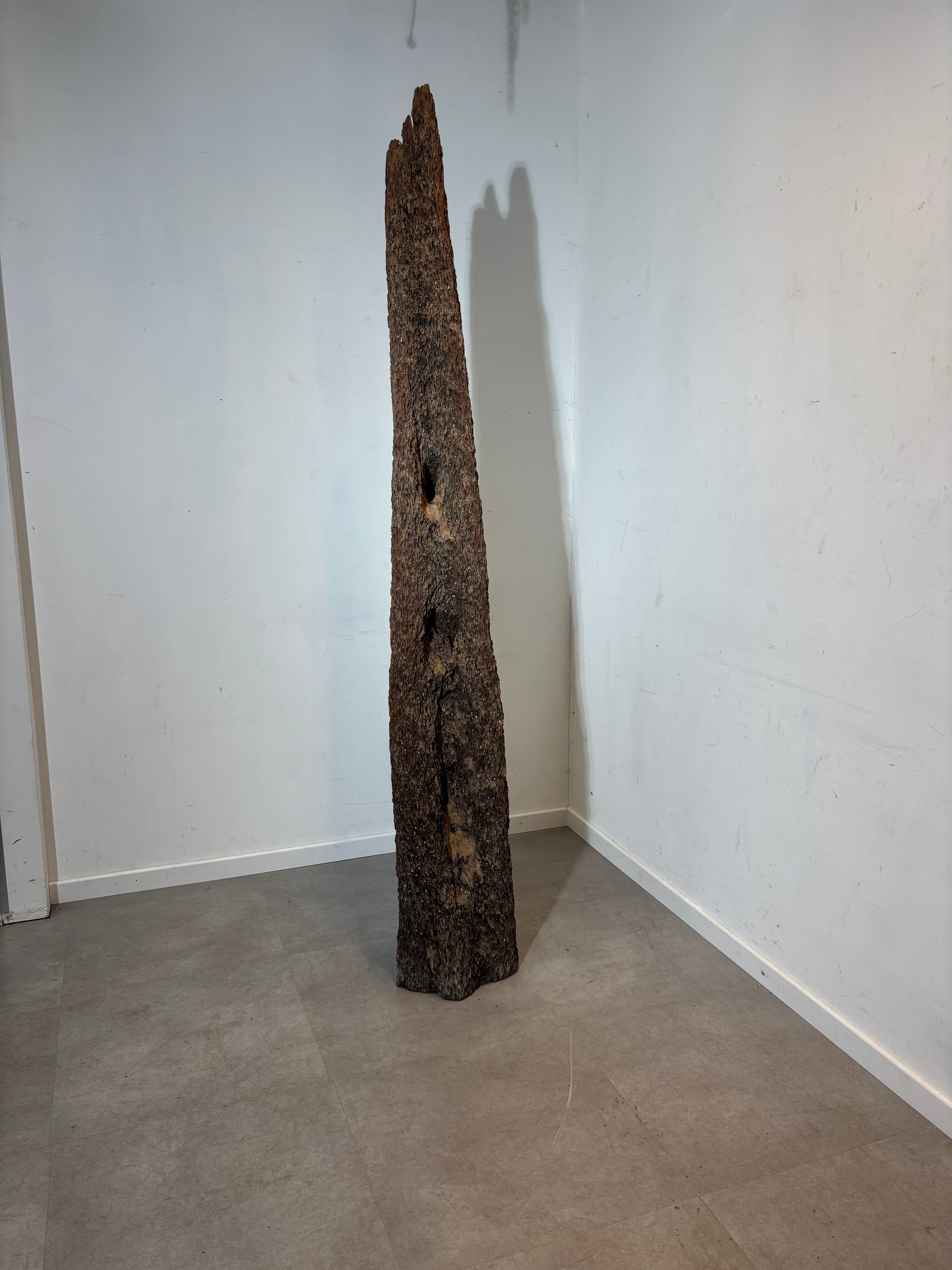 Decoratie voor het huren van een houten oester