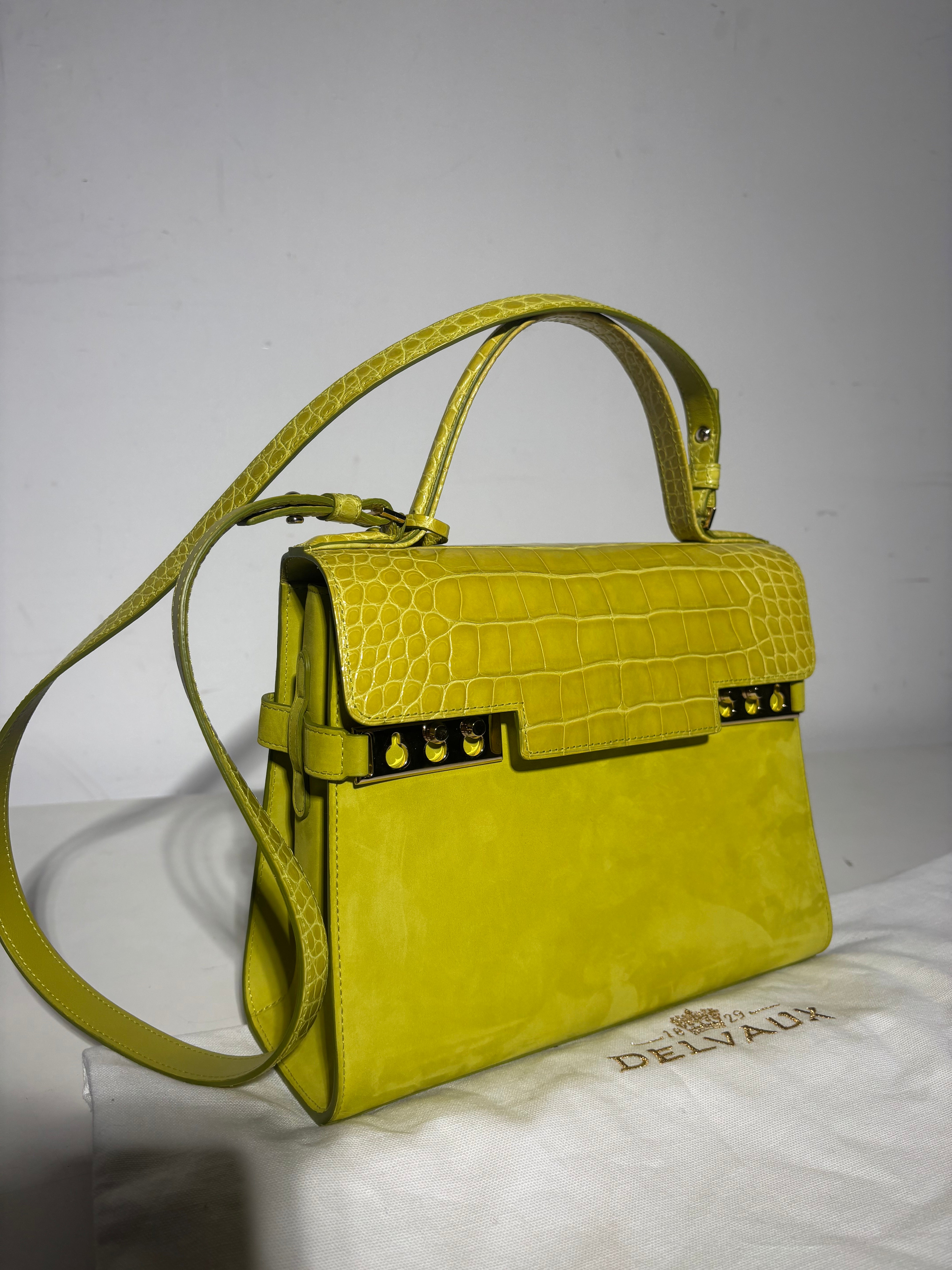 Delvaux Tempête Edition Limitée Croco &amp; Daim MM