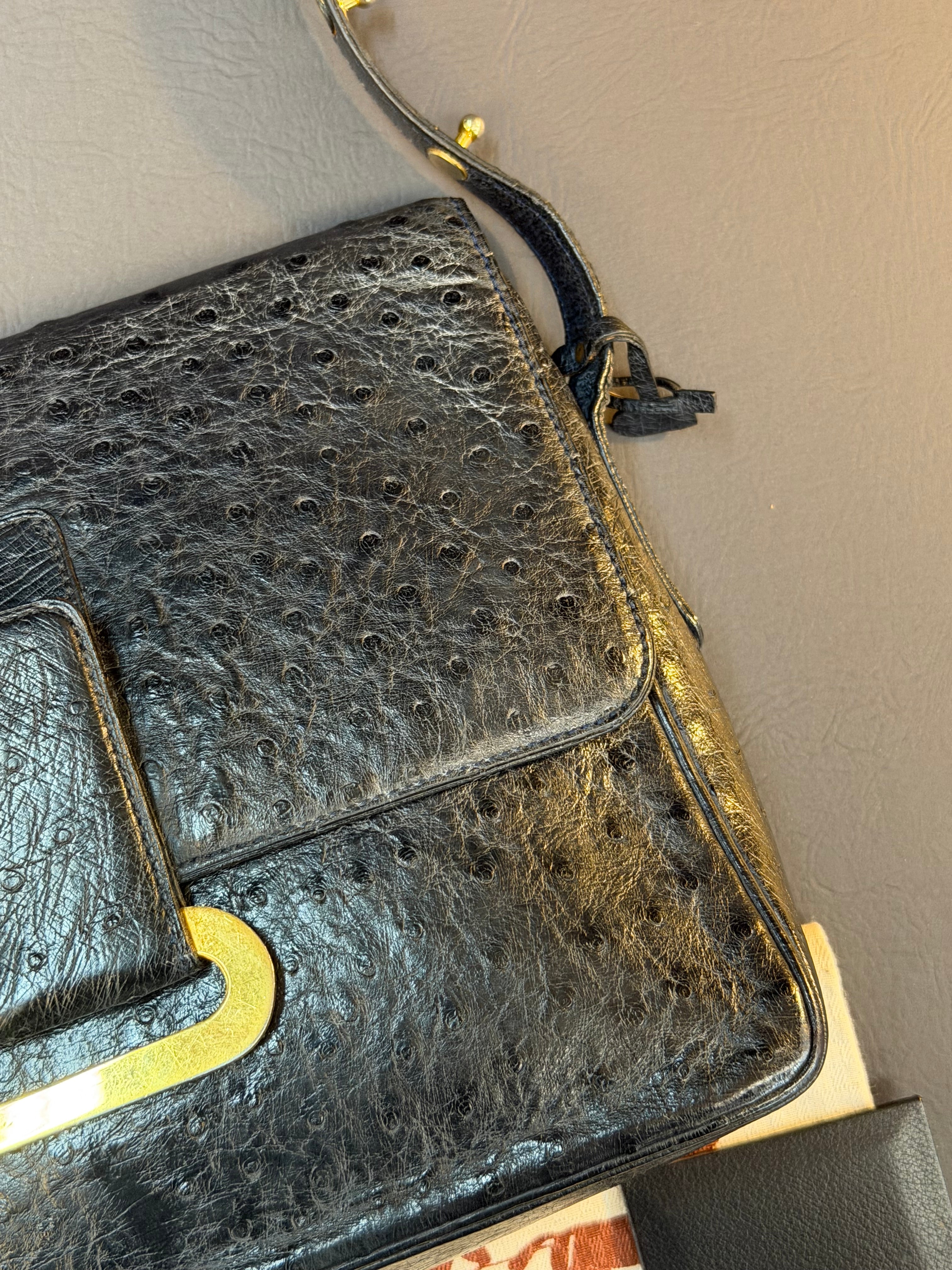 Delvaux Poirier Crossbody Bag – Ostrich Leather – Black – 26 x 20 cm