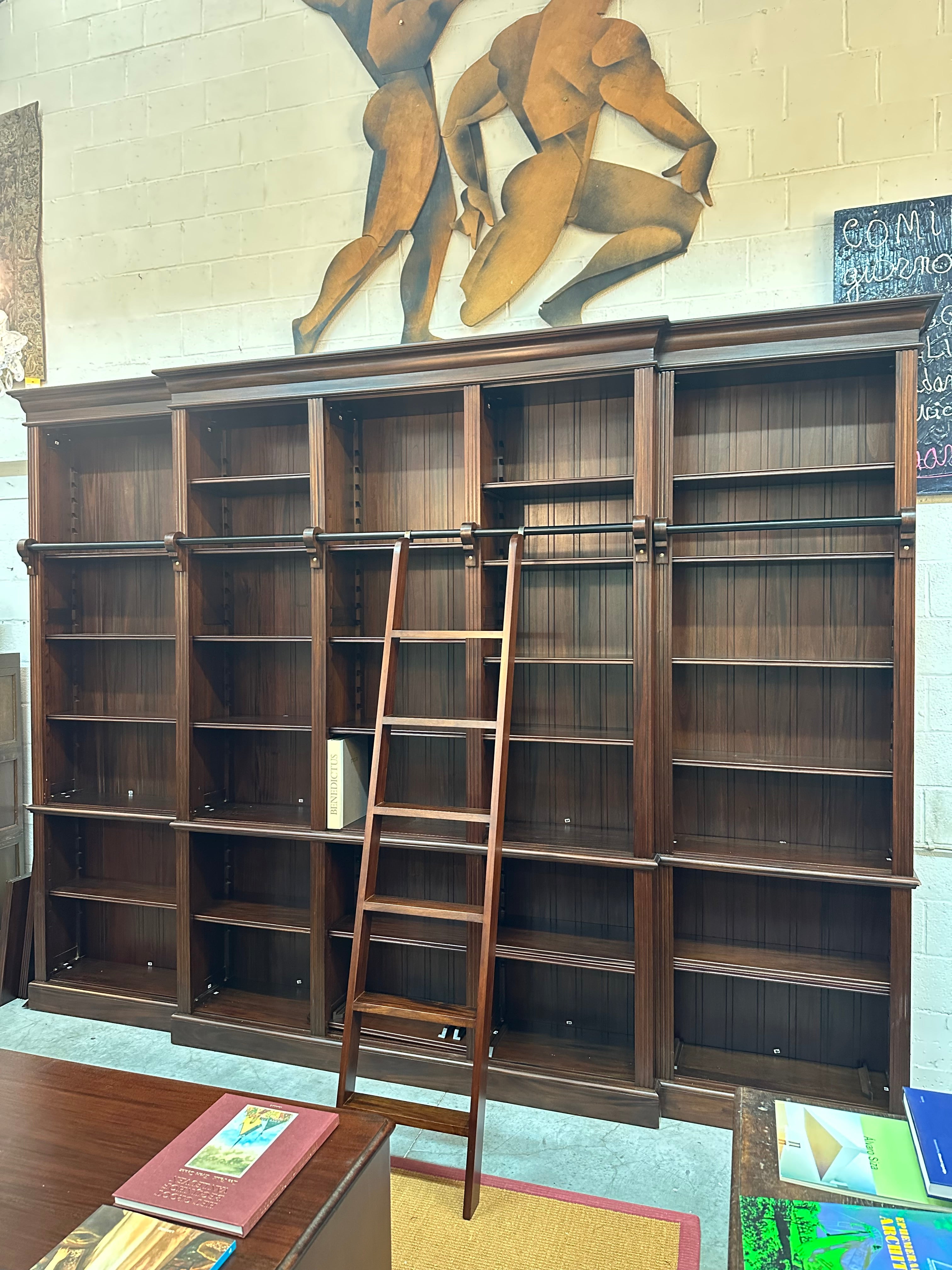 Grote bibliotheekboekenkast met verrijdbare ladder