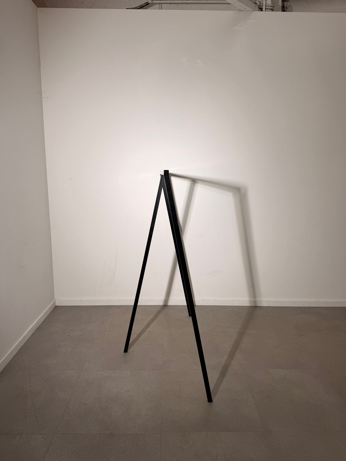 Minimalist Black Metal Clothes Rack